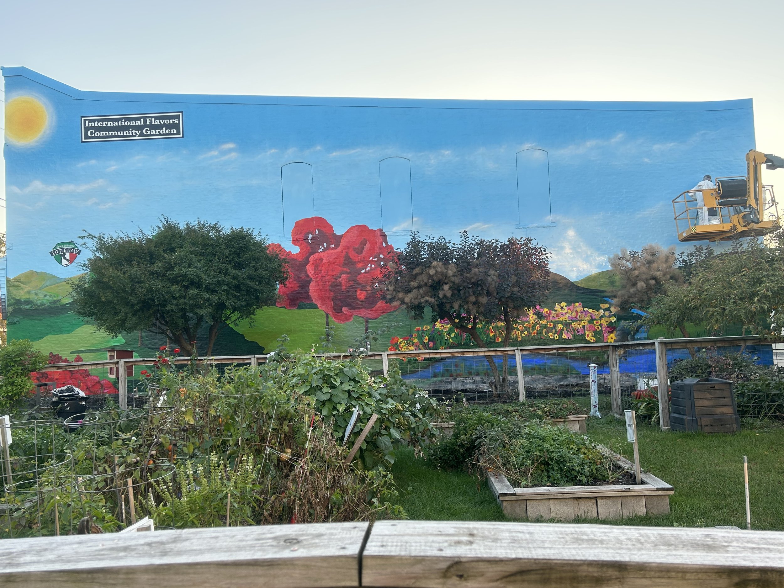 IMG_7233 - Steve Mik.jpeg