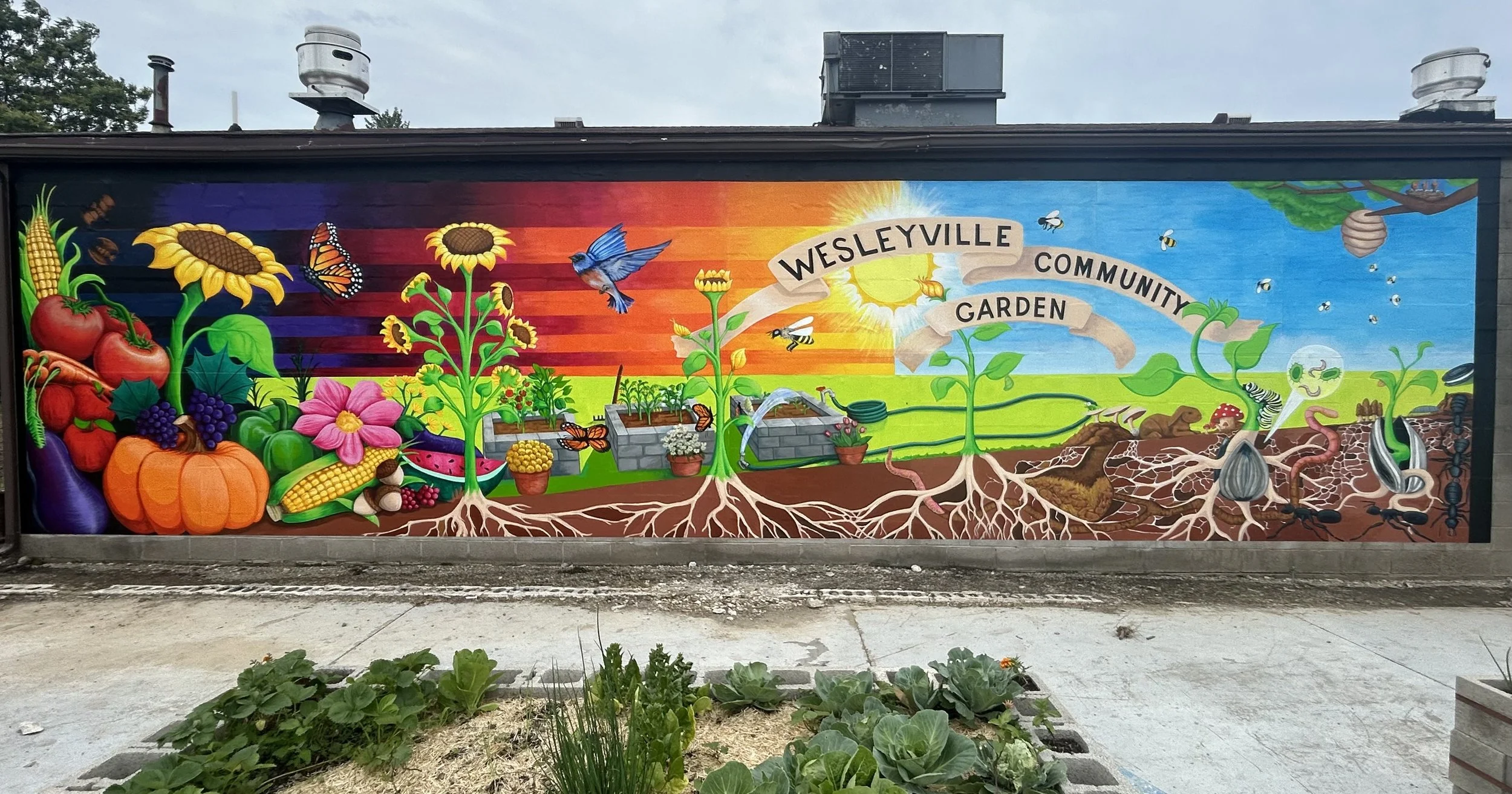 IMG_9459 - Steve Mik.jpeg