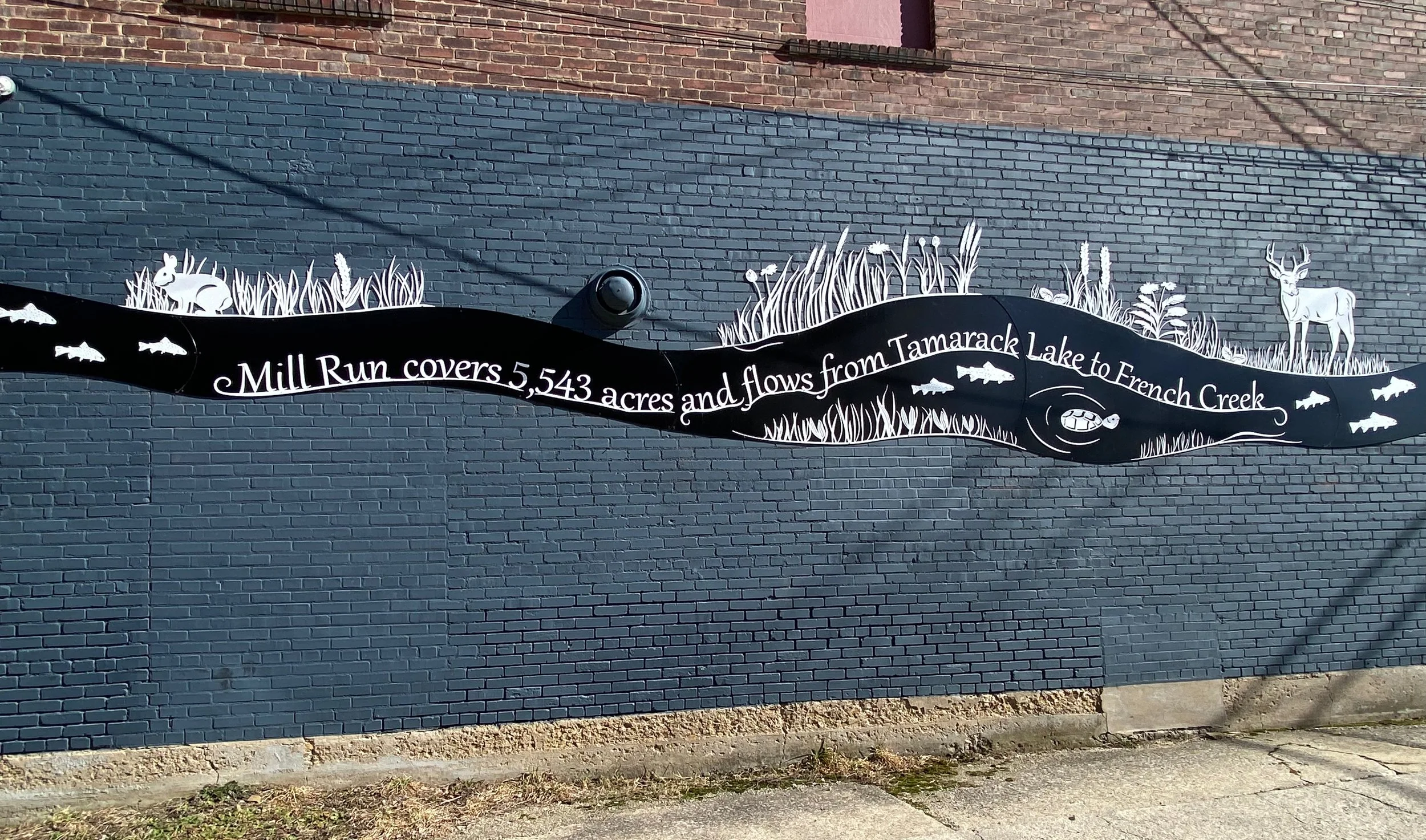 3. Geffen_Celebrating MR-IMG_4136-cropped.jpg