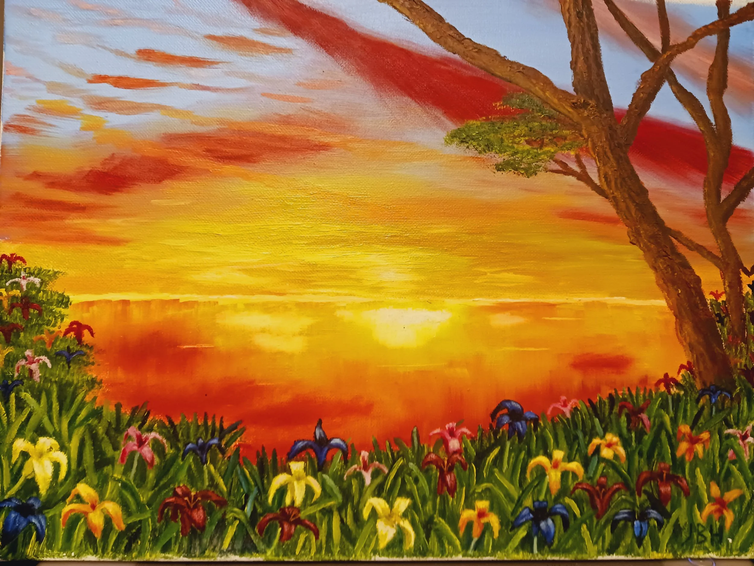 20240610_214242 - Josh Harper.jpg