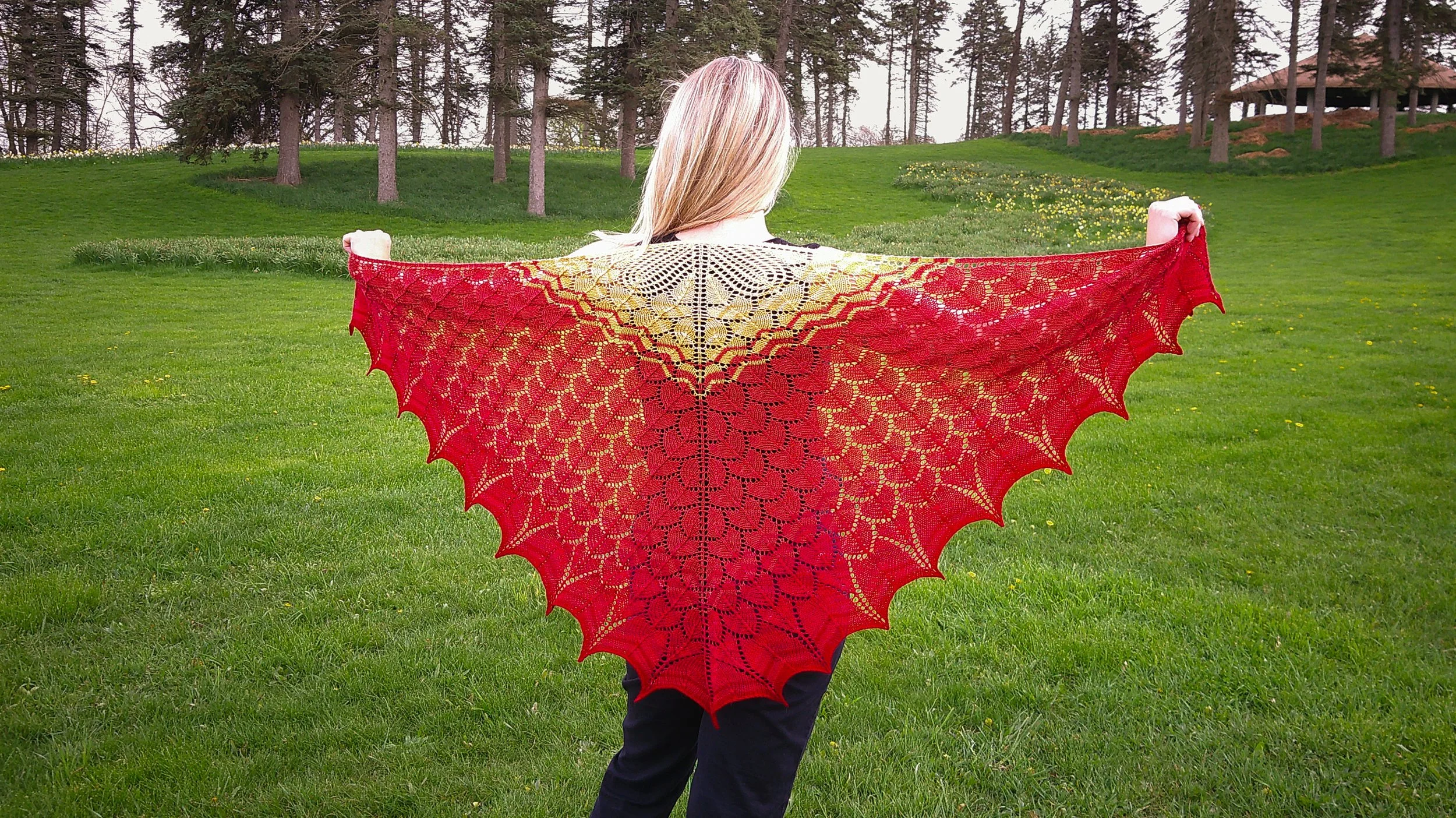 Copy of DSCF0108.jpg