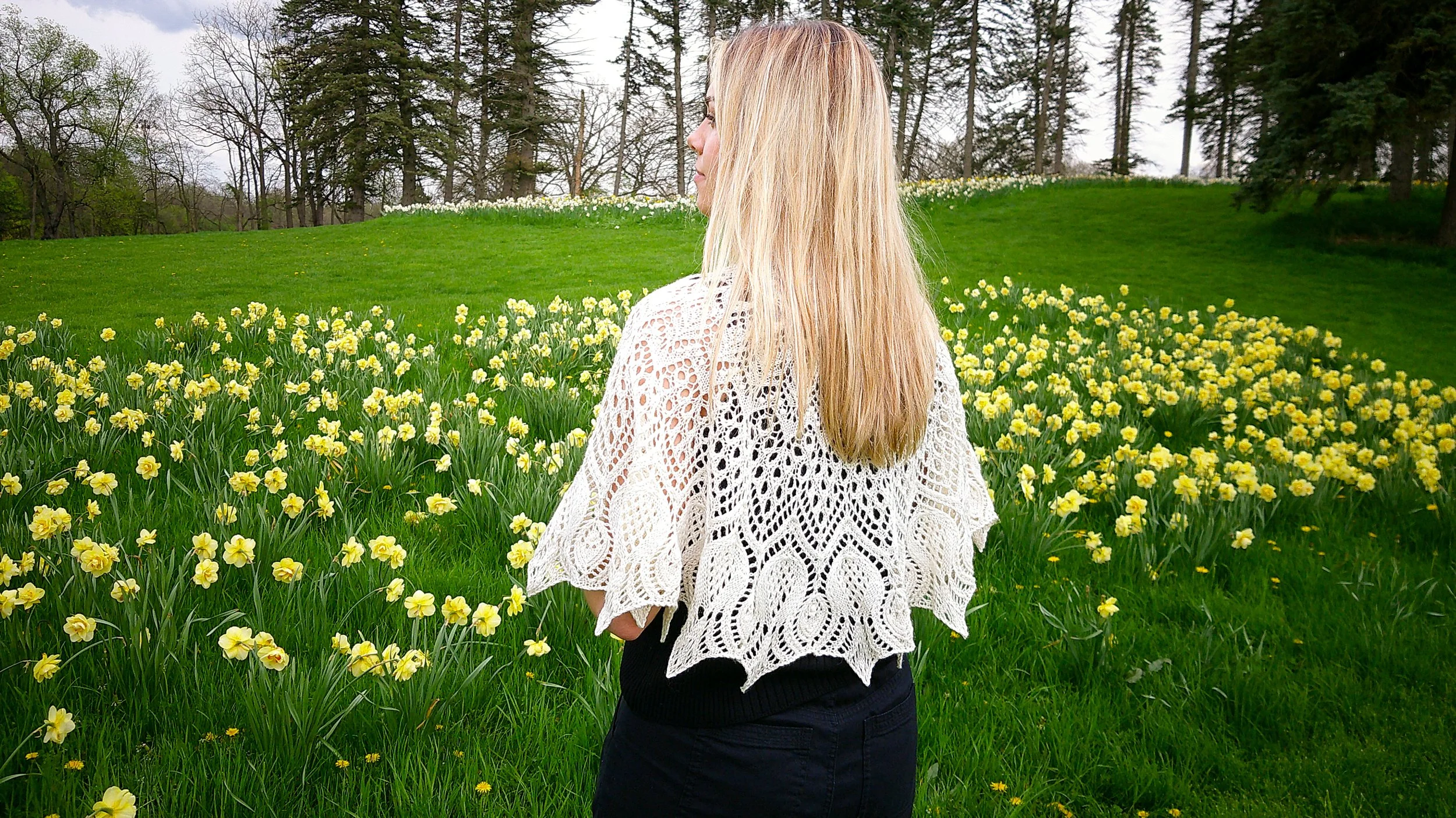 Copy of DSCF0123.jpg