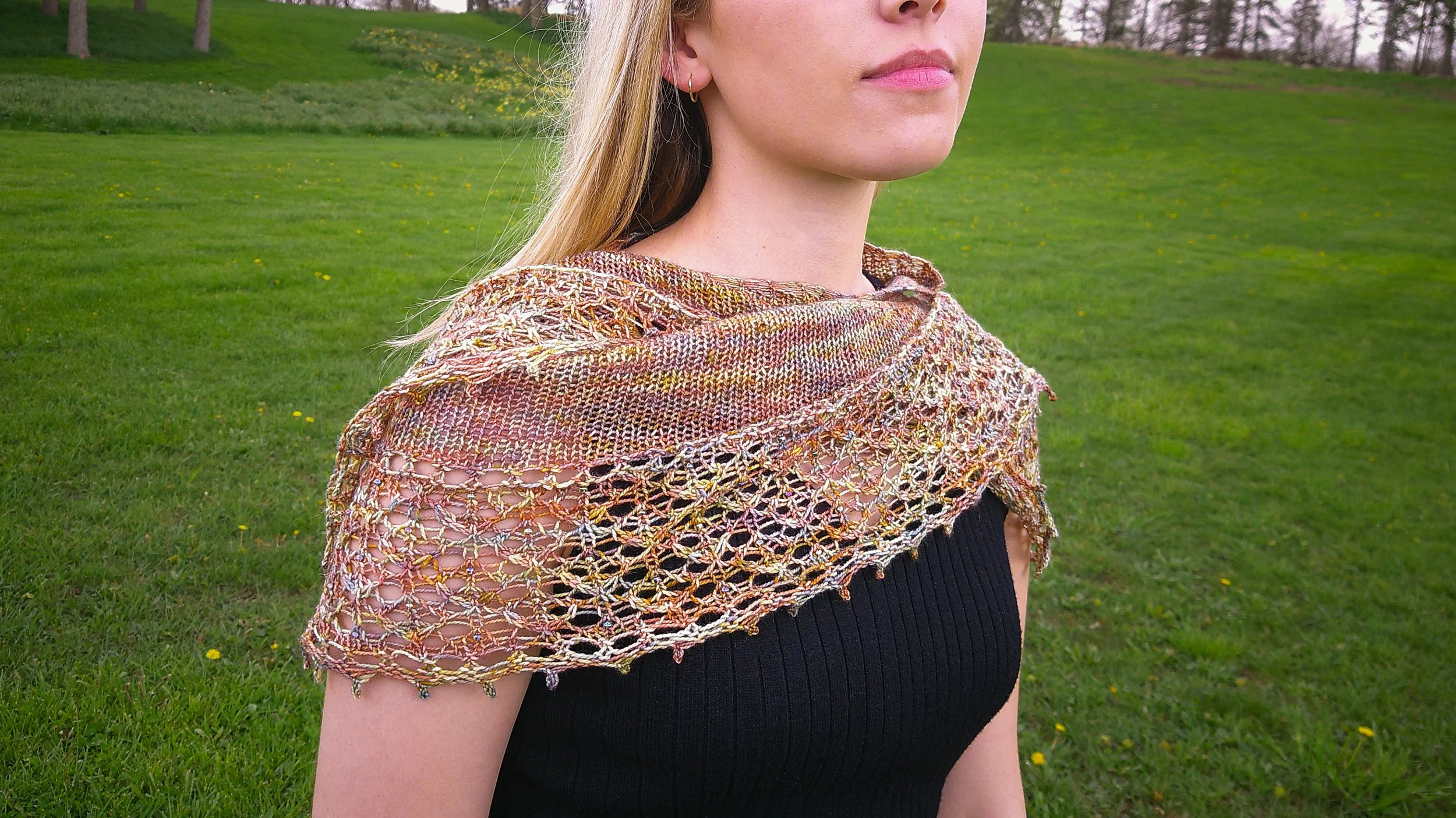 Copy of DSCF0080.jpg