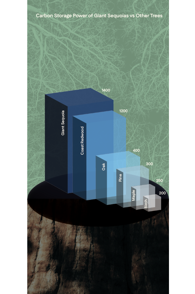 Screenshot 2025-09-29 at 2.55.18 PM.png