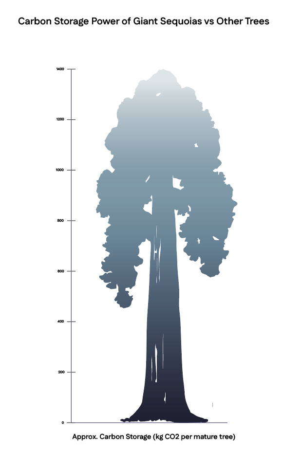 Screenshot 2025-09-29 at 2.55.00 PM.png