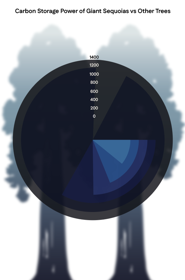 Screenshot 2025-09-29 at 2.55.05 PM.png