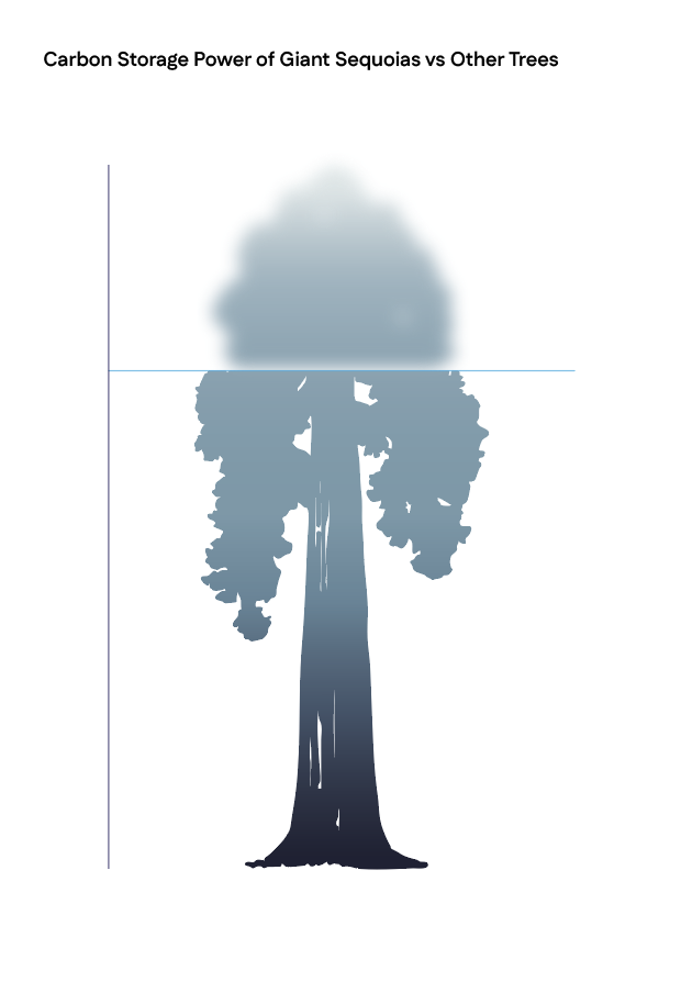 Screenshot 2025-09-29 at 2.54.54 PM.png