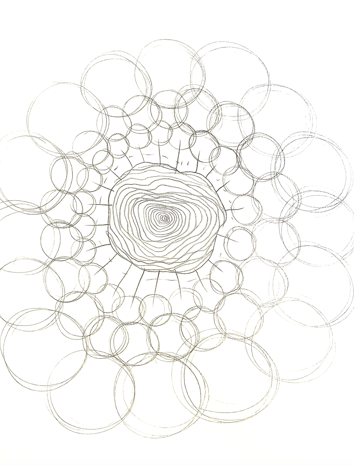 Screenshot 2026-01-27 at 6.20.05 PM.png