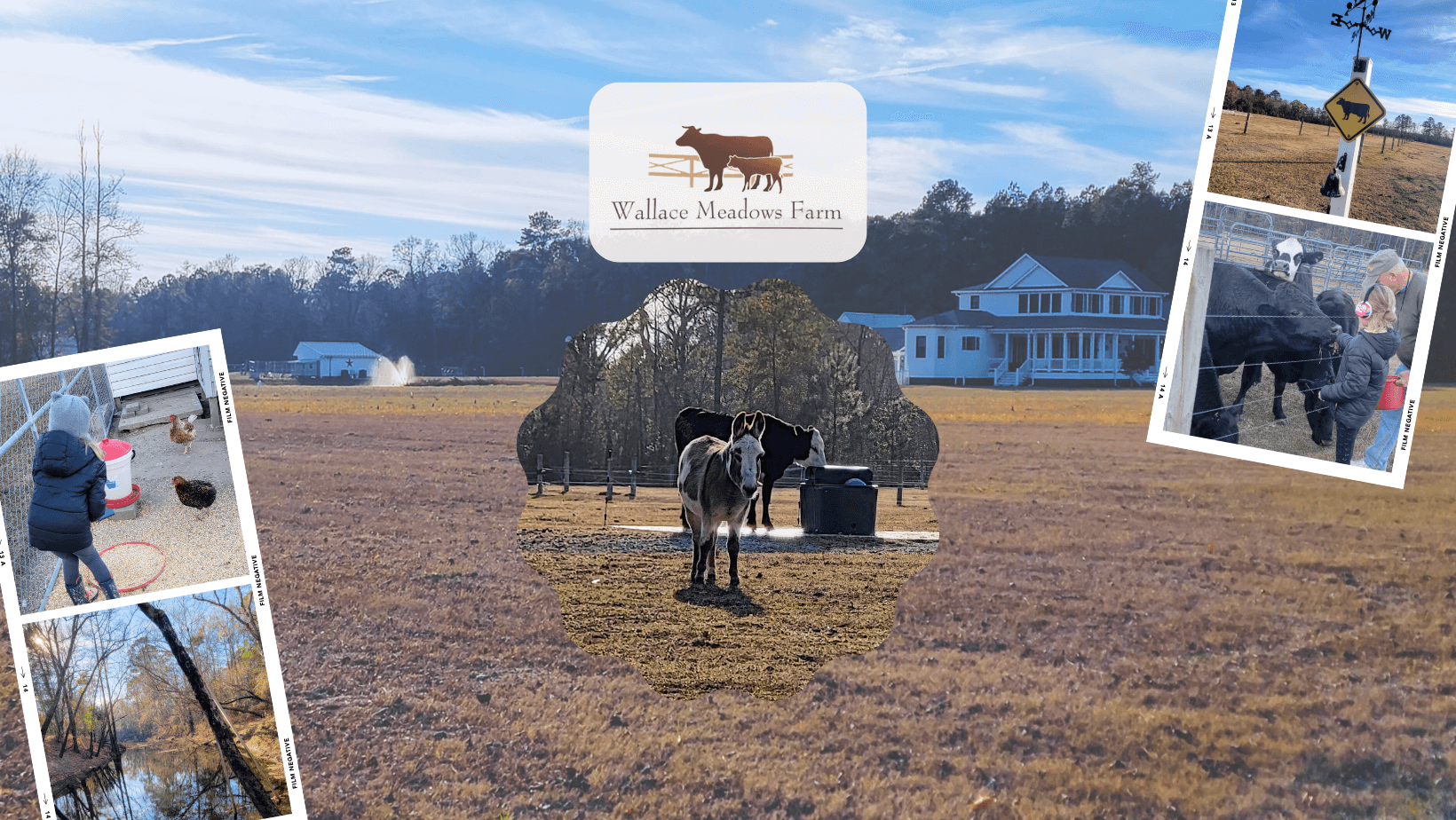 Wallace Meadows (2).png