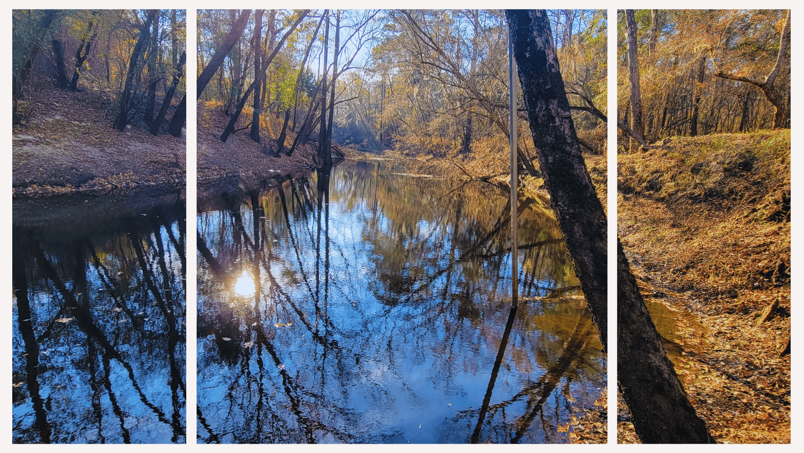 Wallace Meadows (6).png