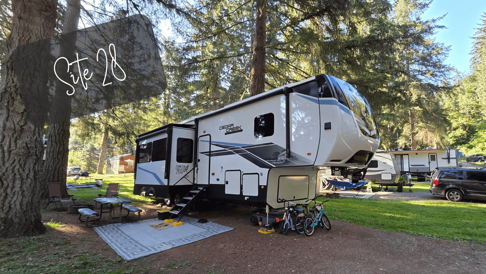 TT Thunderbird (5).png