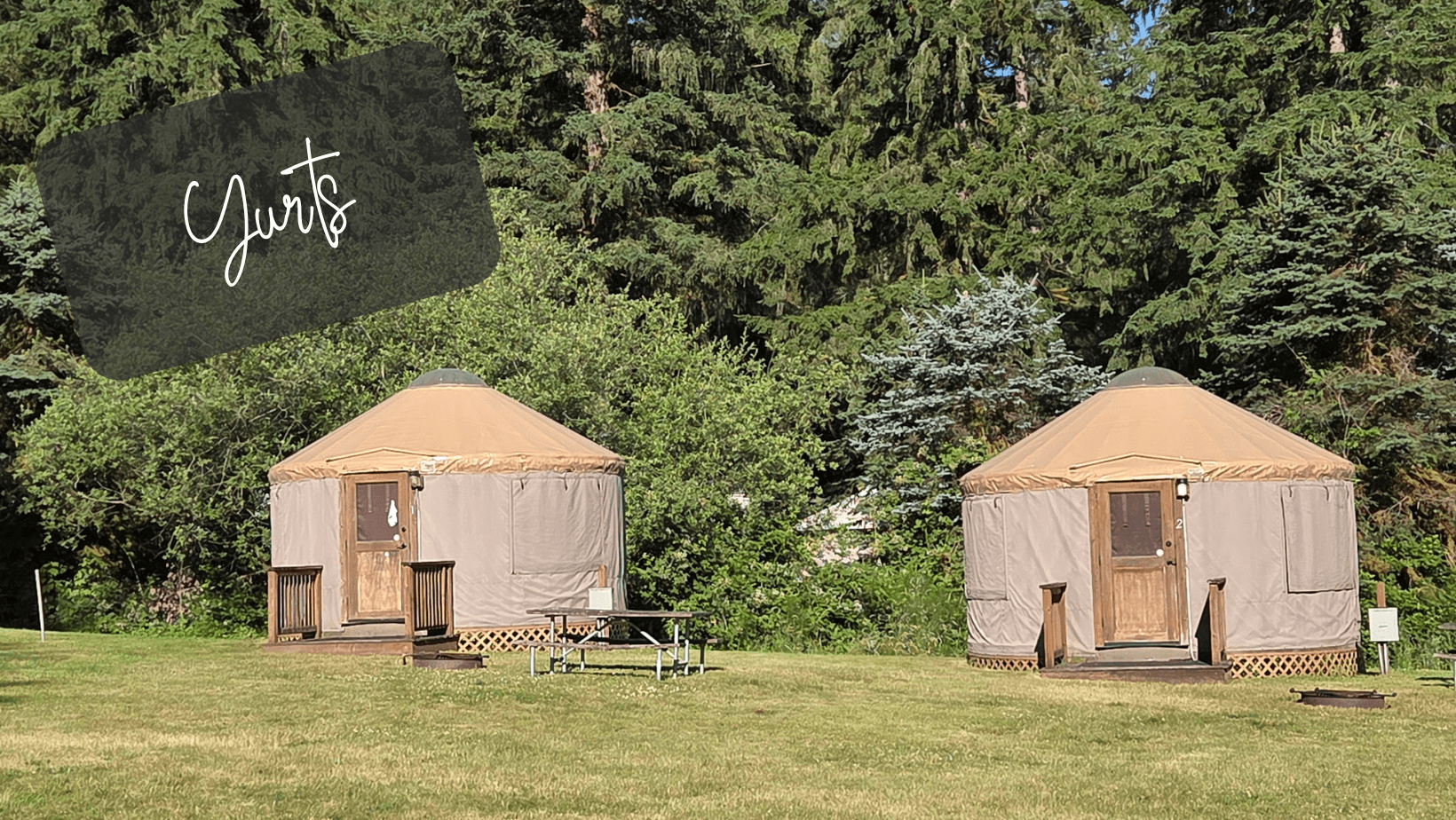 TT Thunderbird (6).png