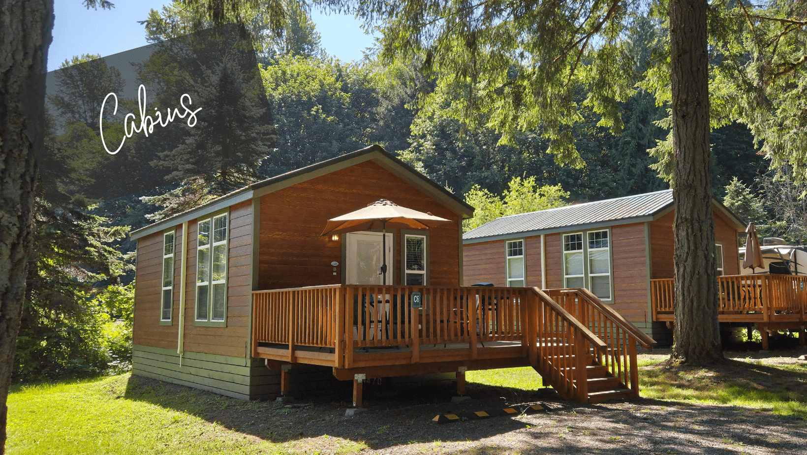 TT Thunderbird (7).png