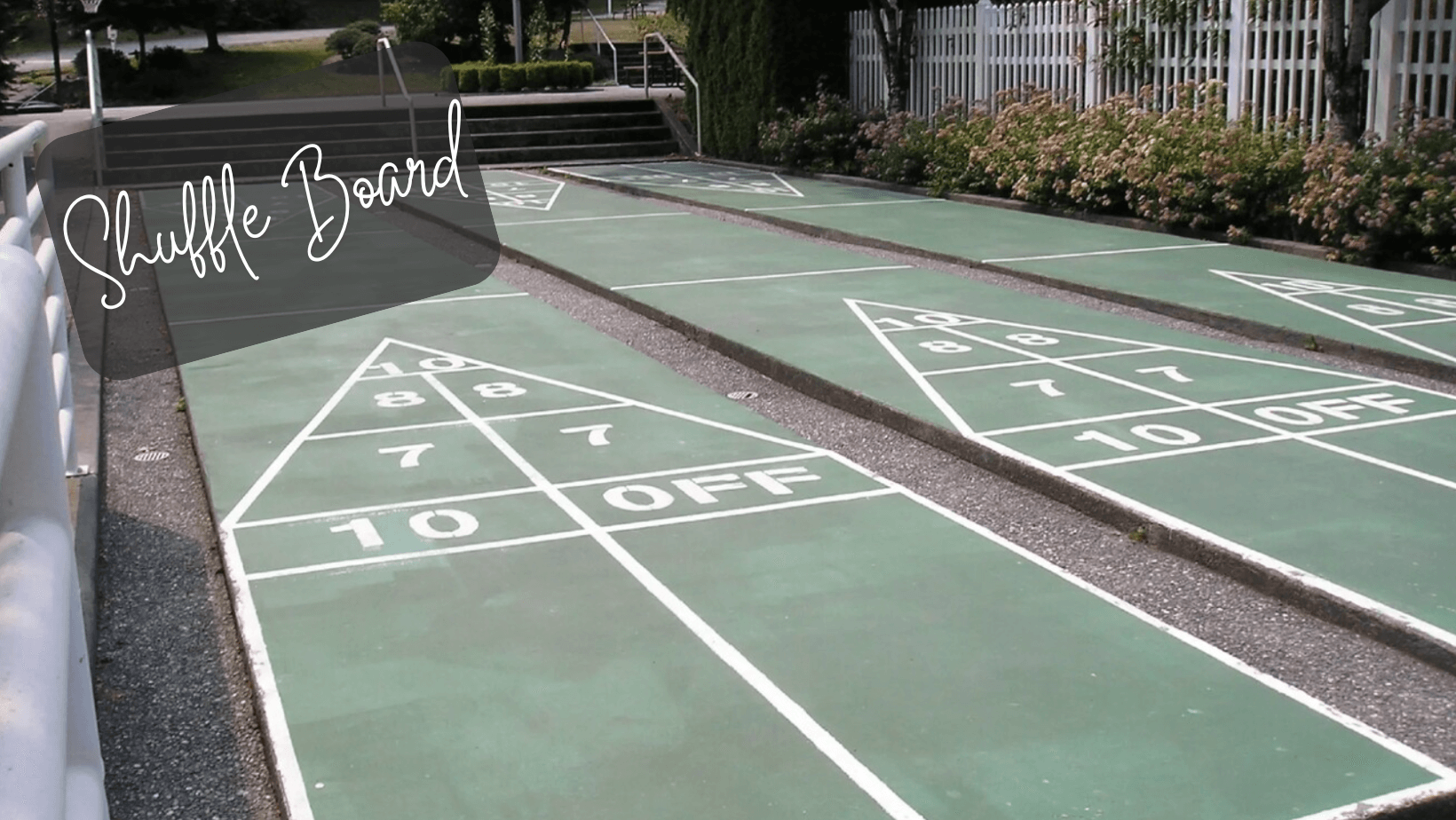 TT Thunderbird (10).png