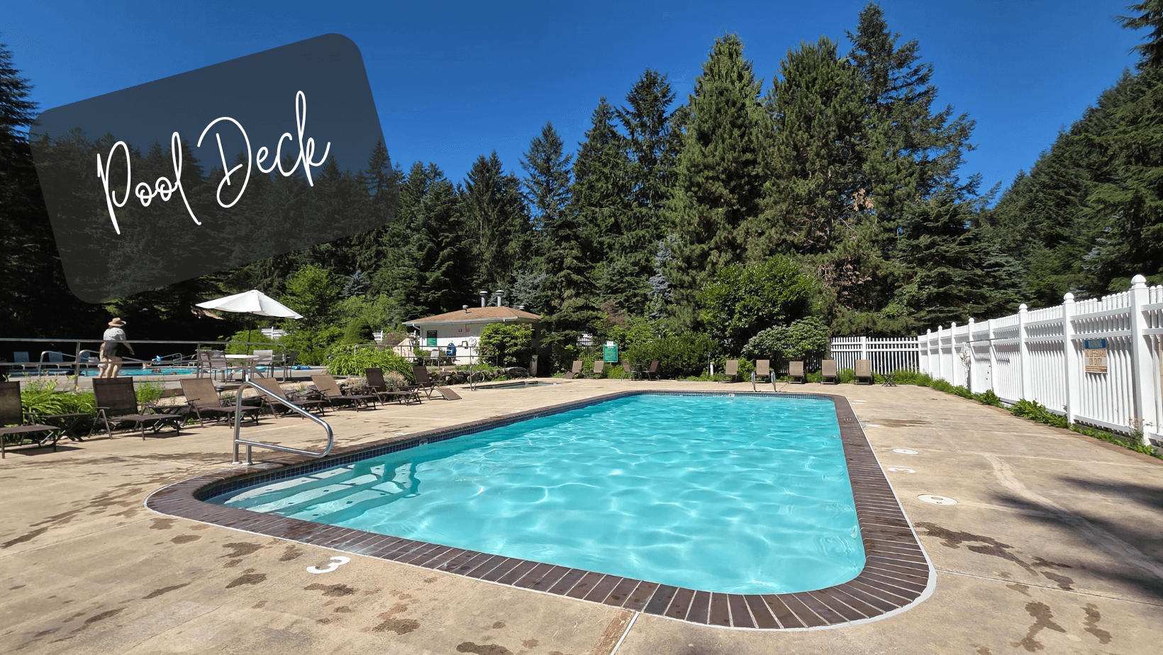 TT Thunderbird (11).png