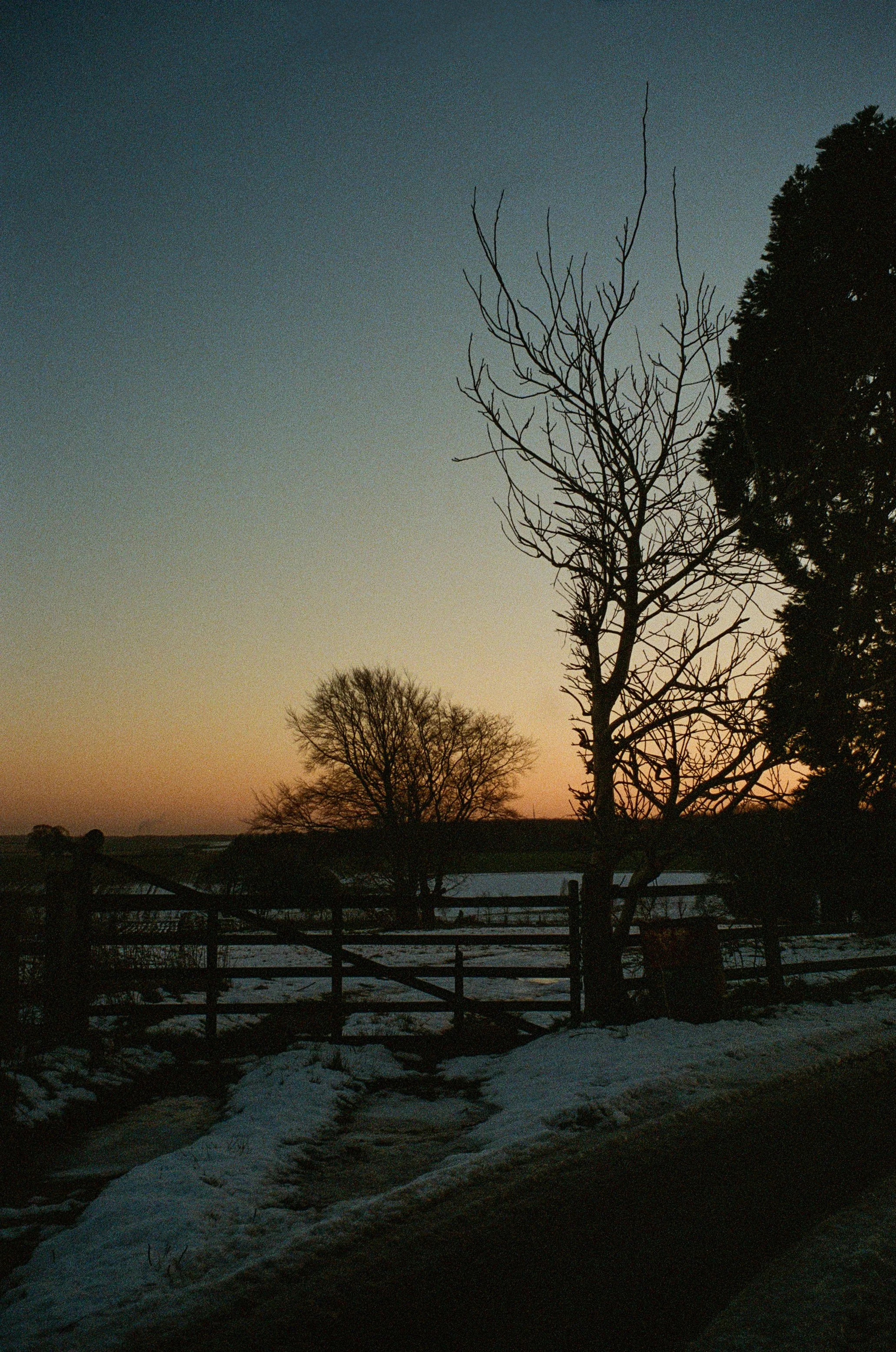 0023-99f46.jpg