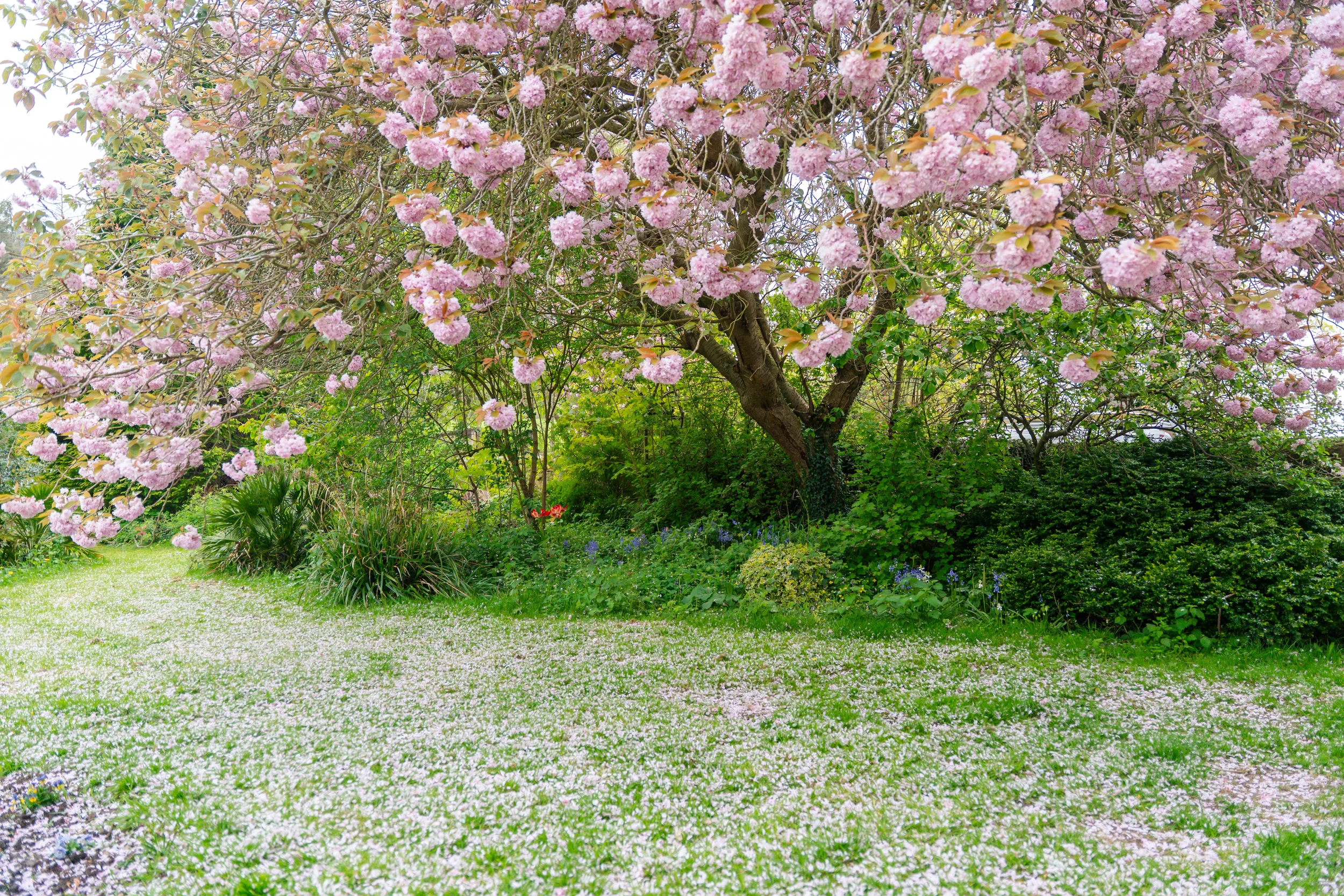 DSC09396.webp