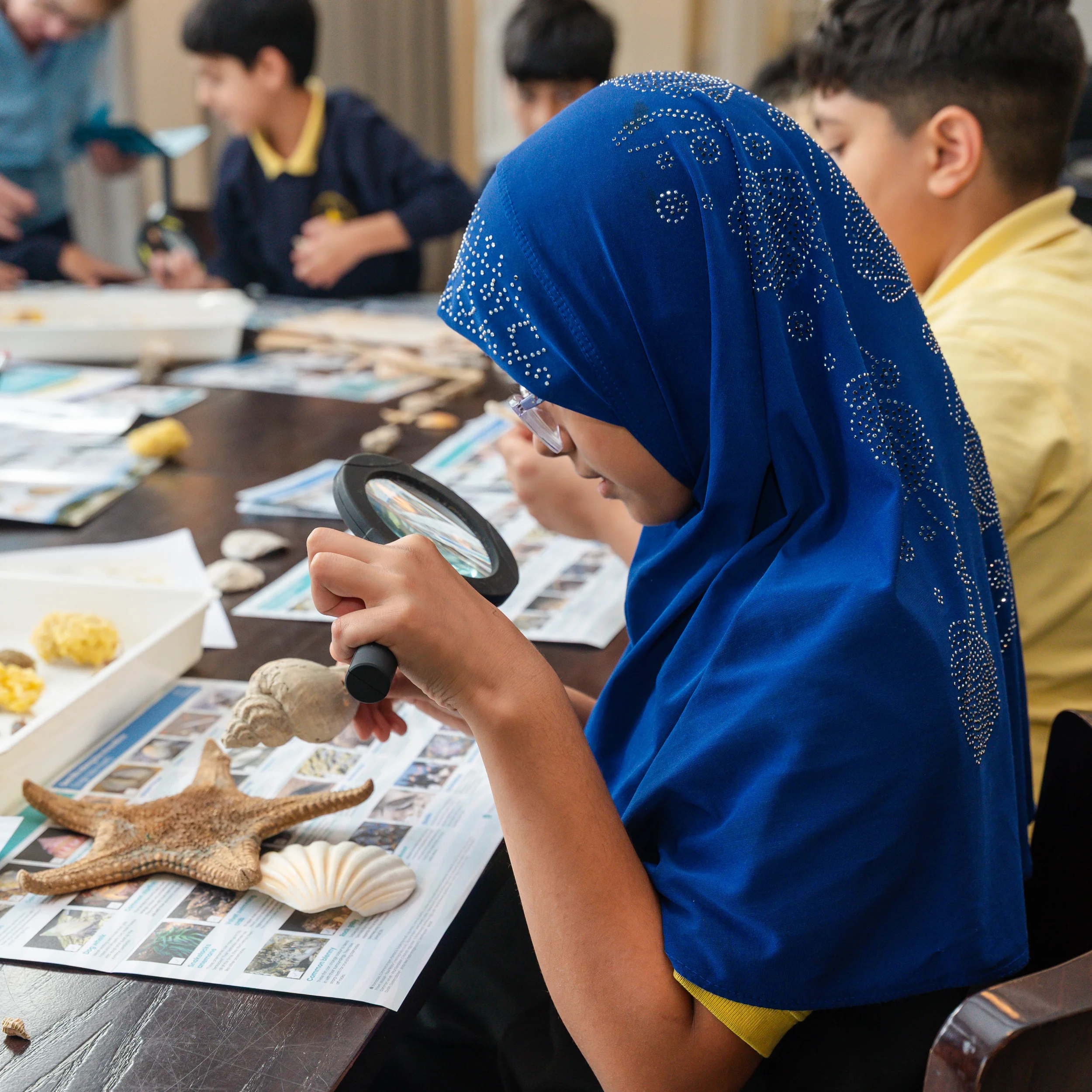 Scarborough Marine Conservation Educational Day.