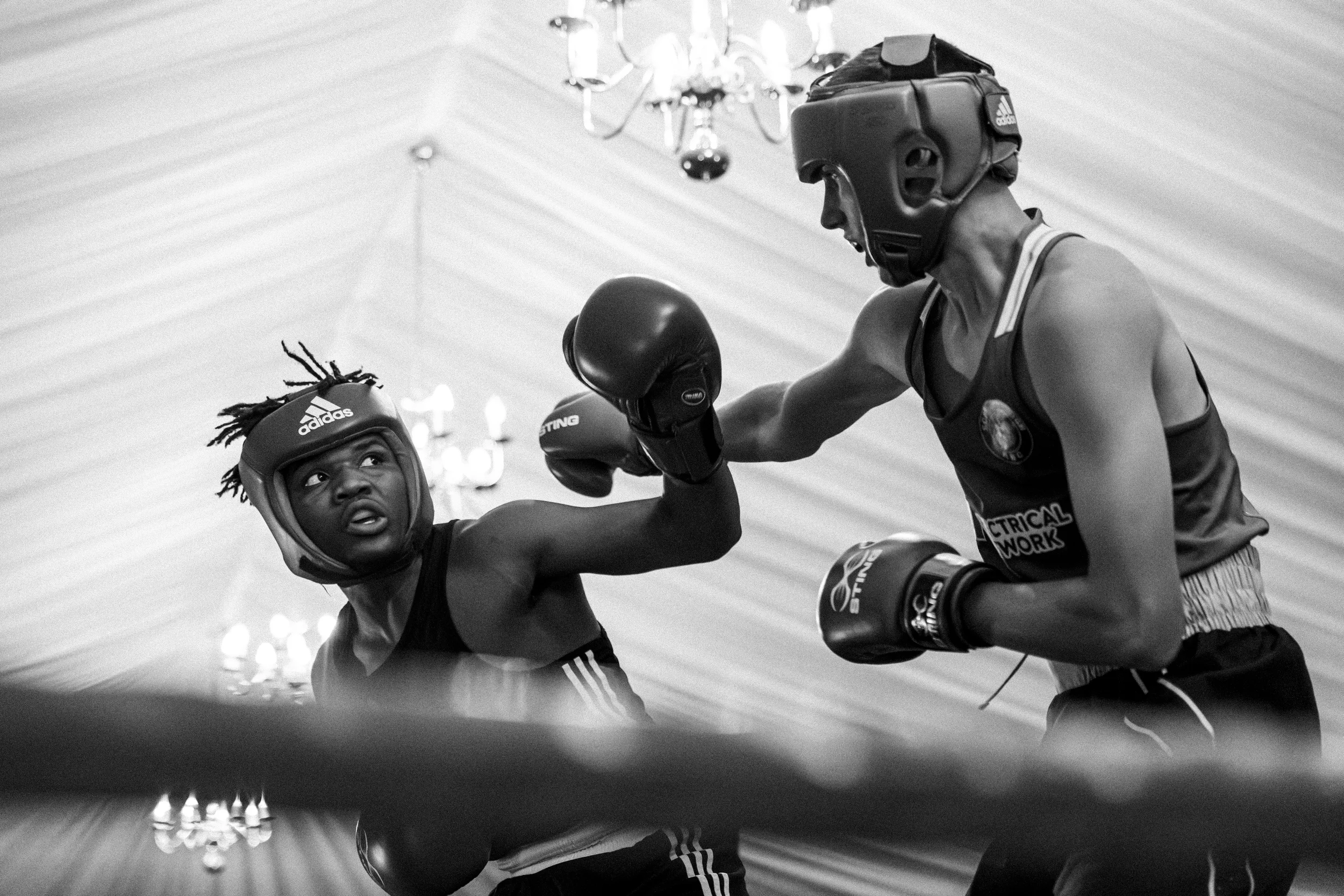 Scarborough Boxing event