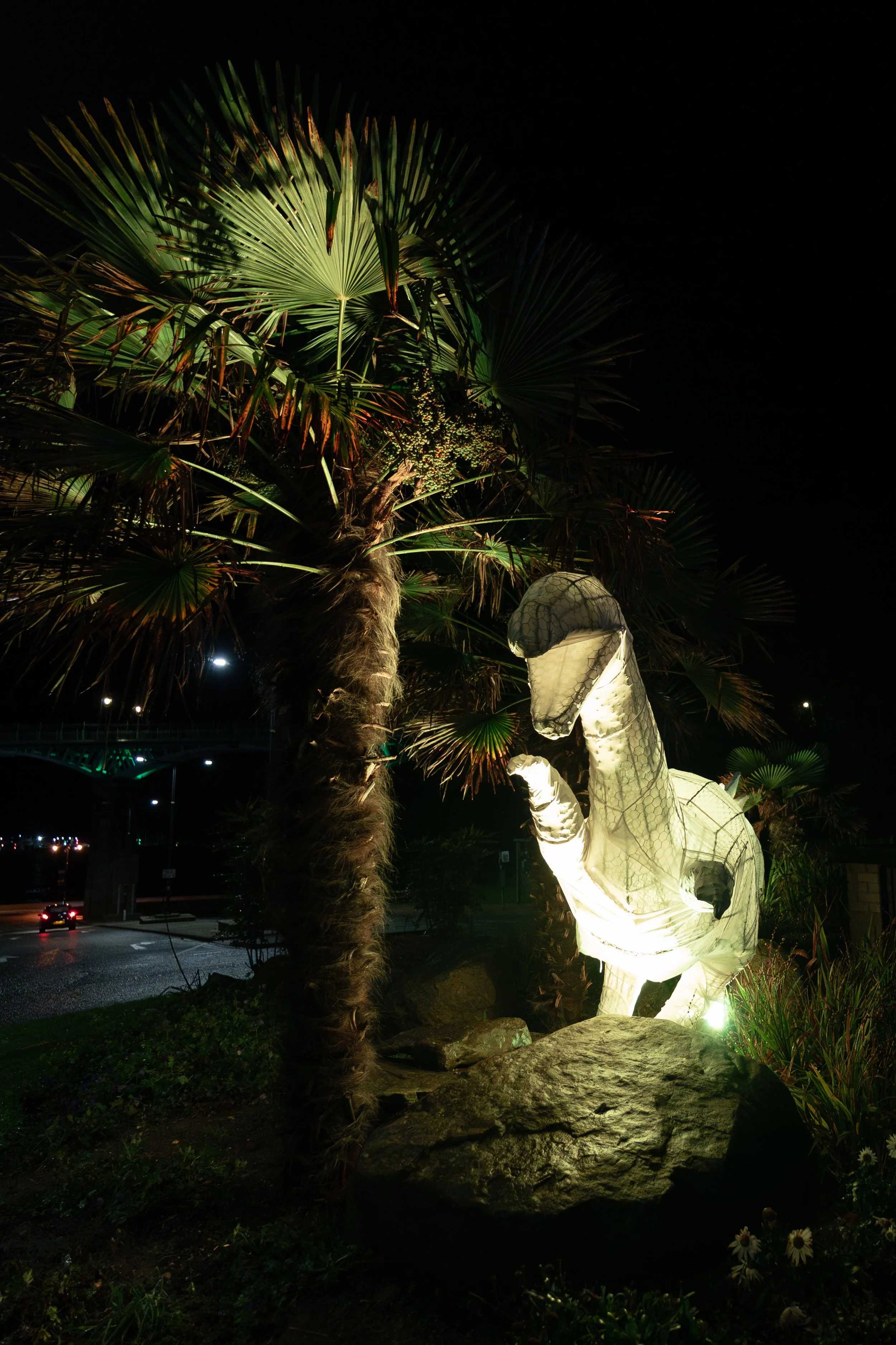 ScarboroughLights_20251123_WanderingPhotography_Dinobout_09.jpg