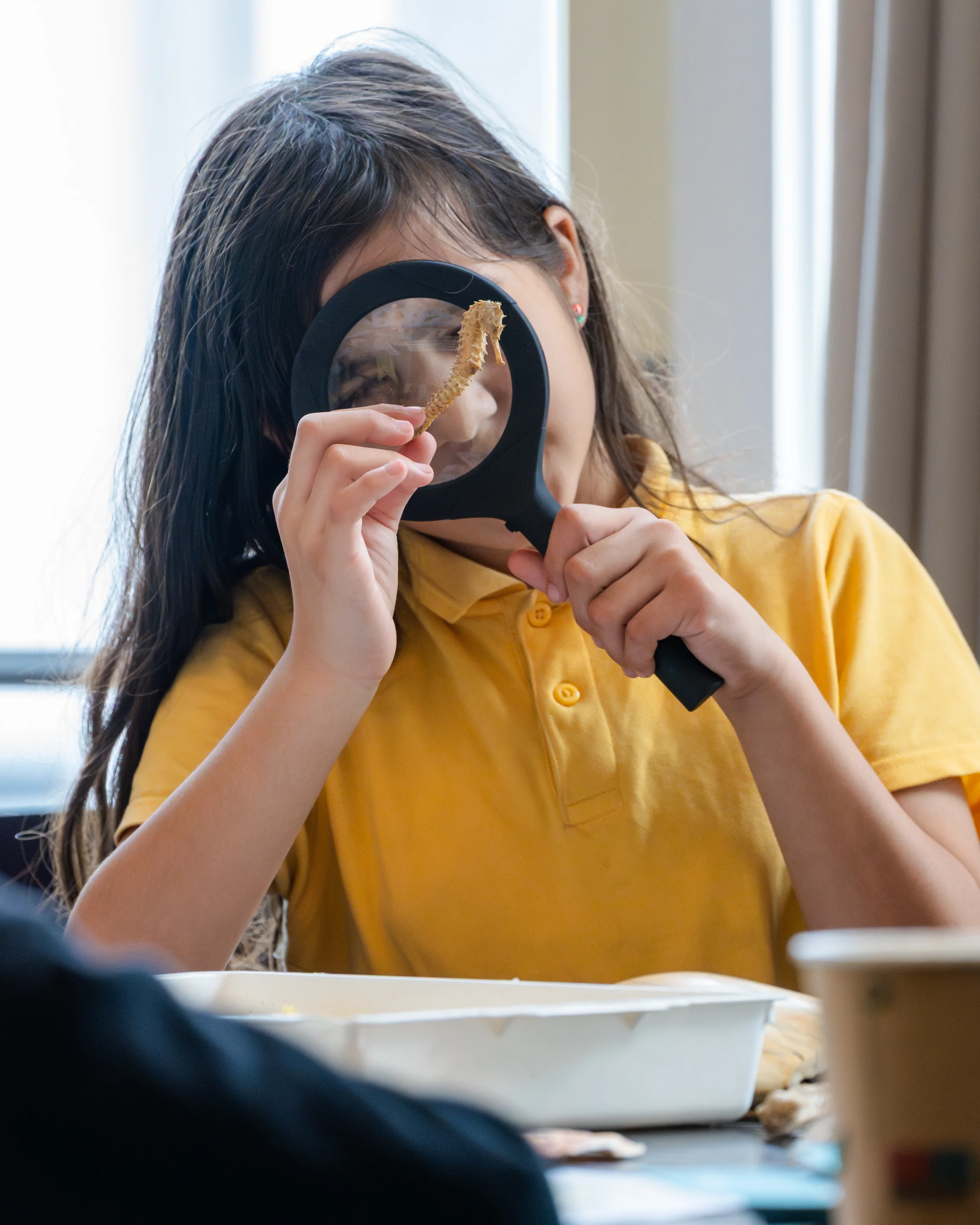 Scarborough Marine Conservation Educational Day.