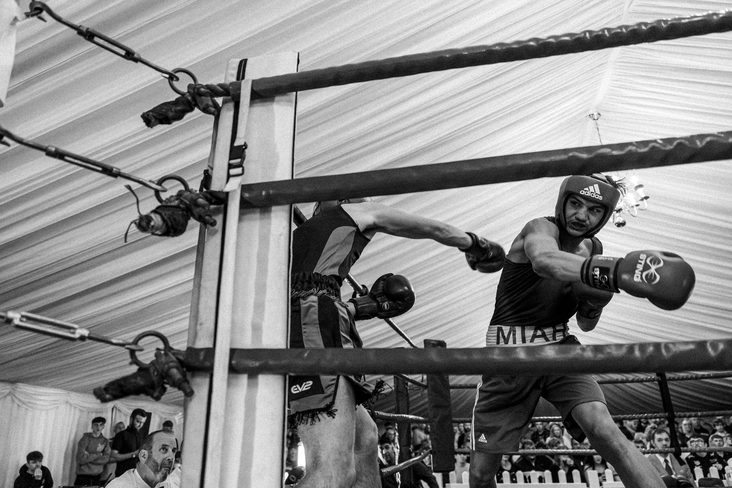 Scarborough Boxing event