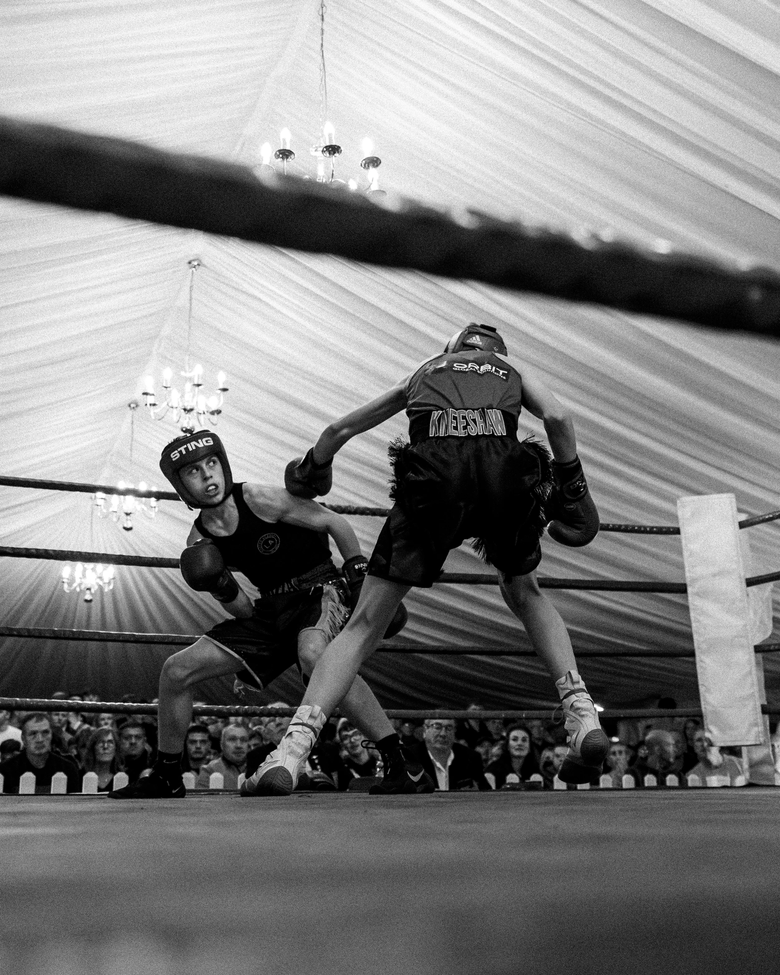 Scarborough Boxing event