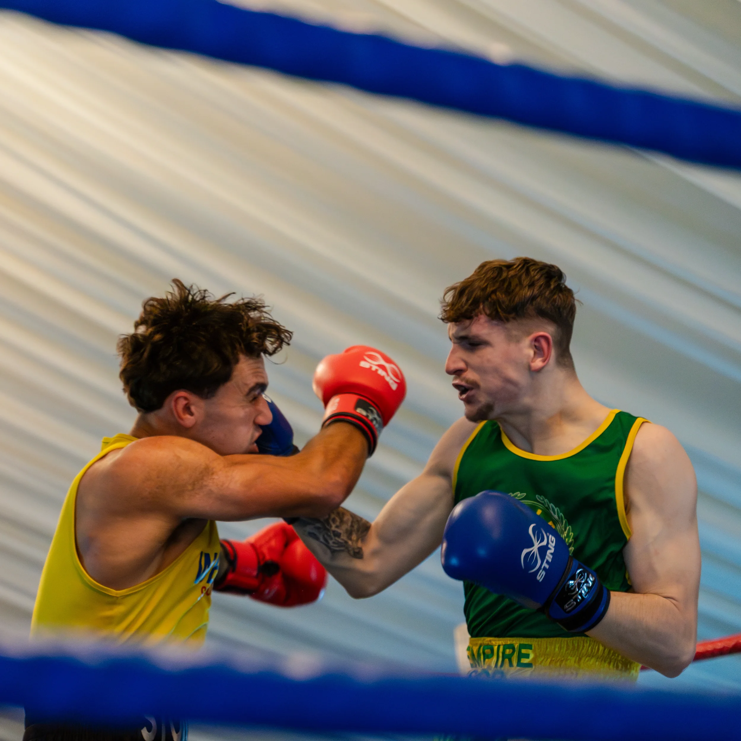 Scarborough Boxing event