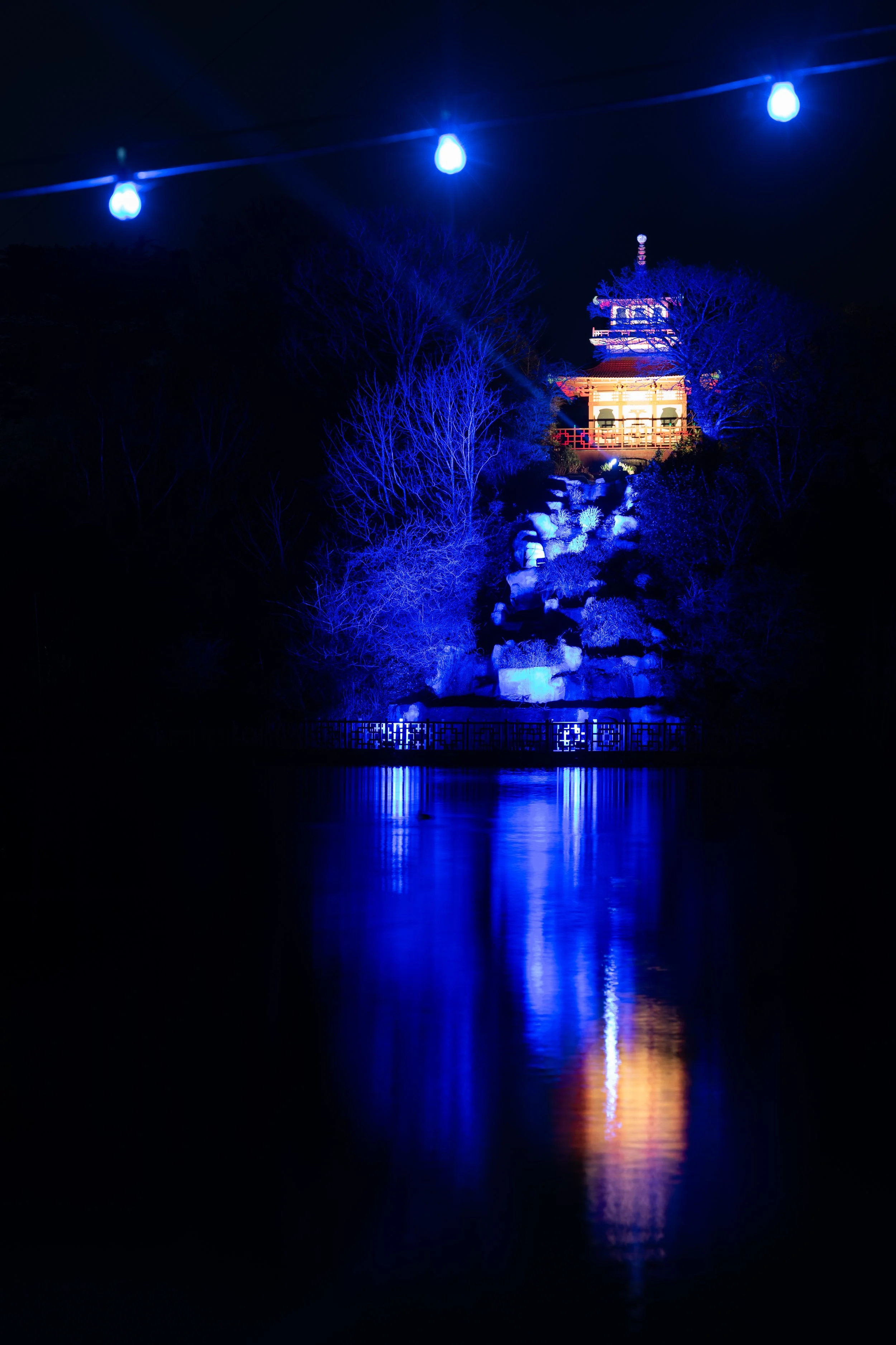 ScarboroughLights_20251203_WanderingPhotography_PeasholmPark _003.jpg