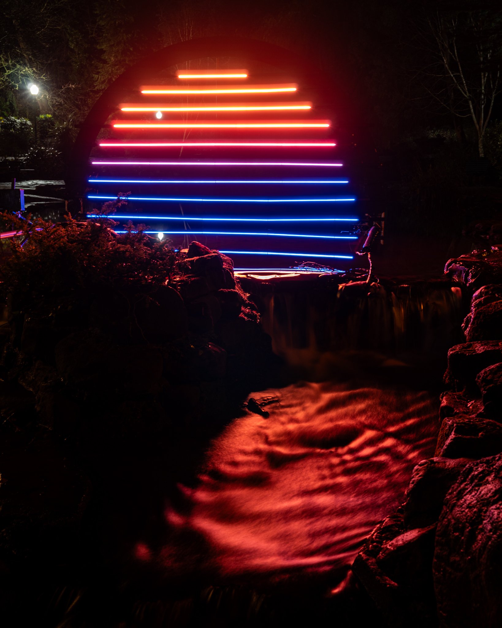 DSC03725.jpg