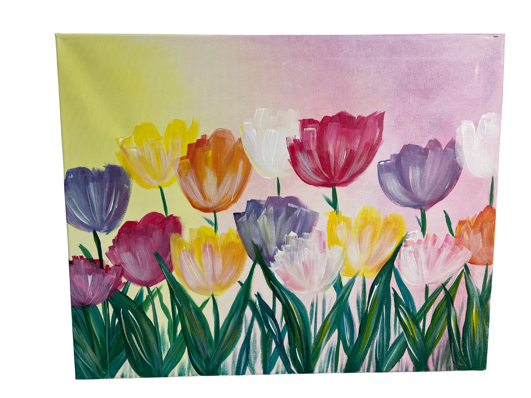 Untitled design (14).PNG
