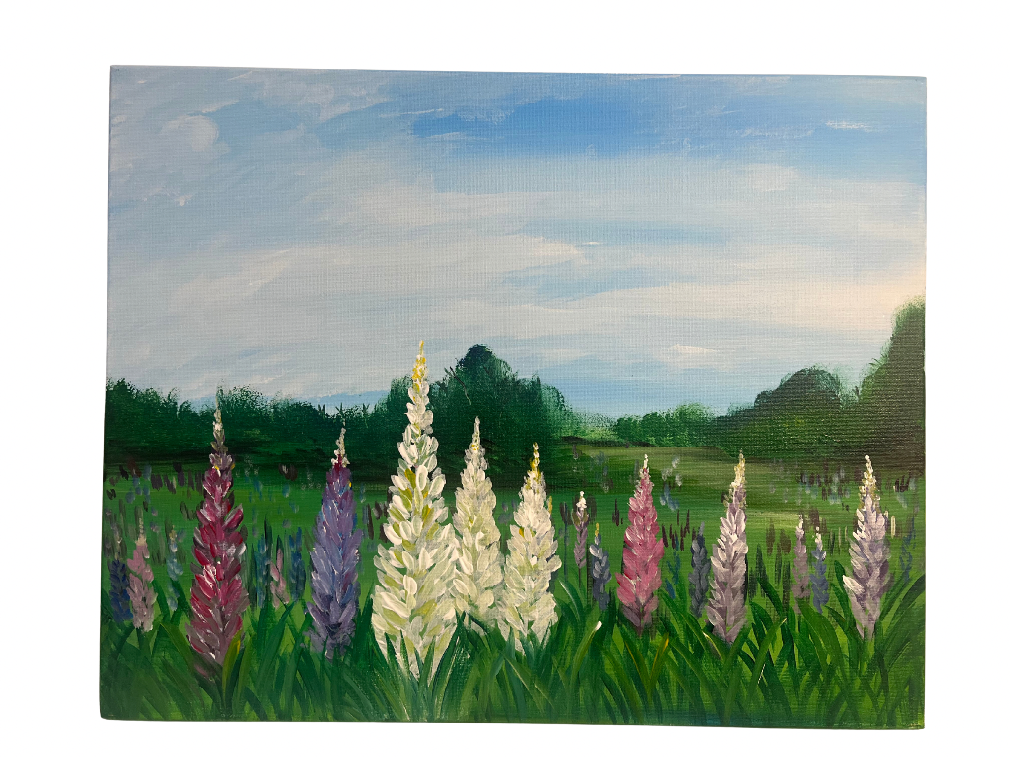 Spring Lupins Tutorial