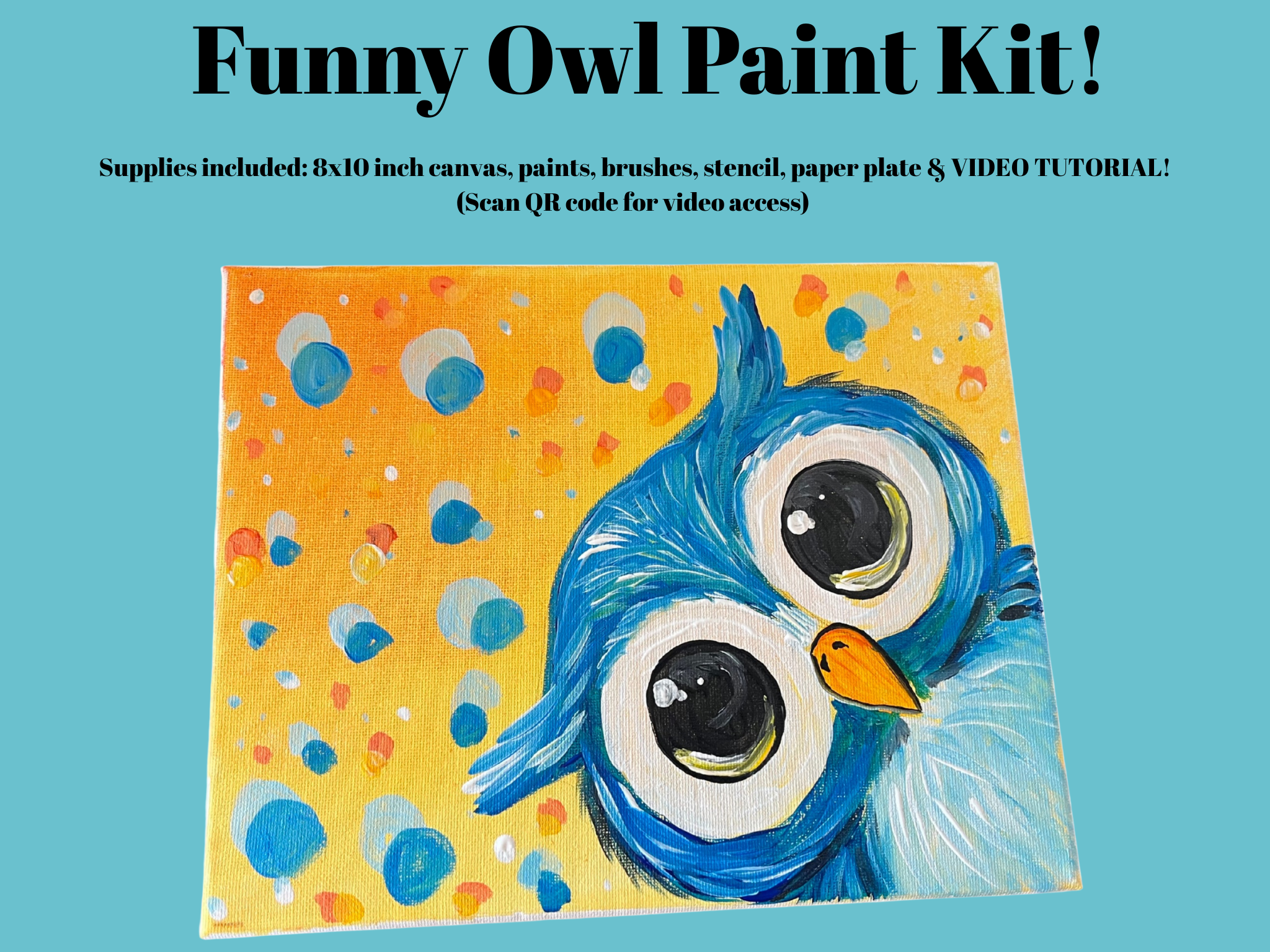 Funny Owl Paint Kit!