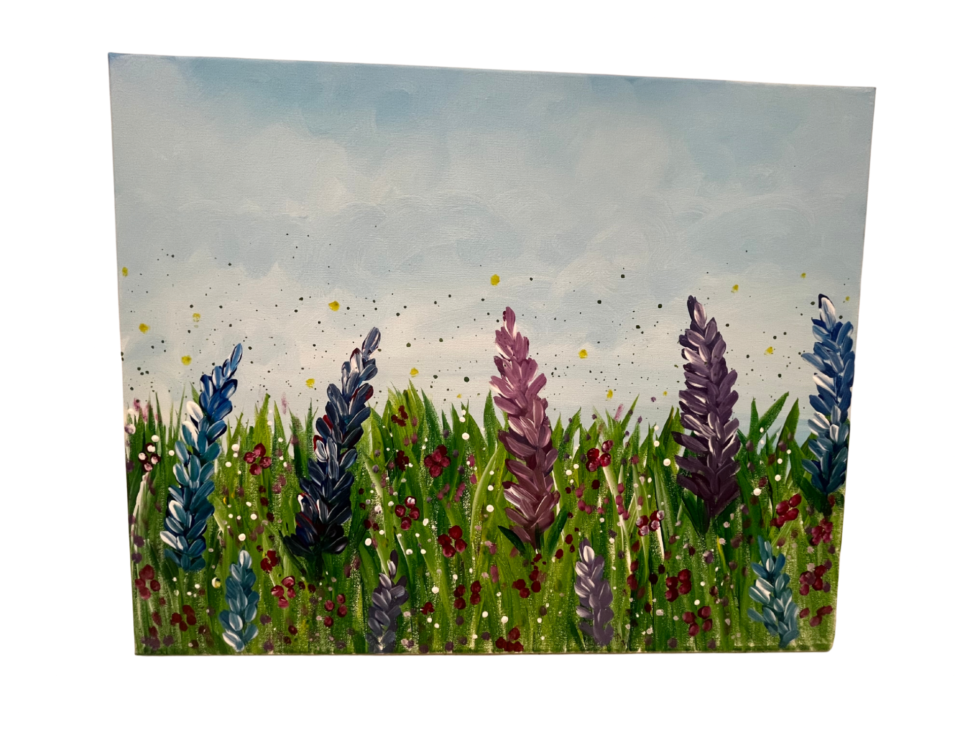 field of lupins pic.png