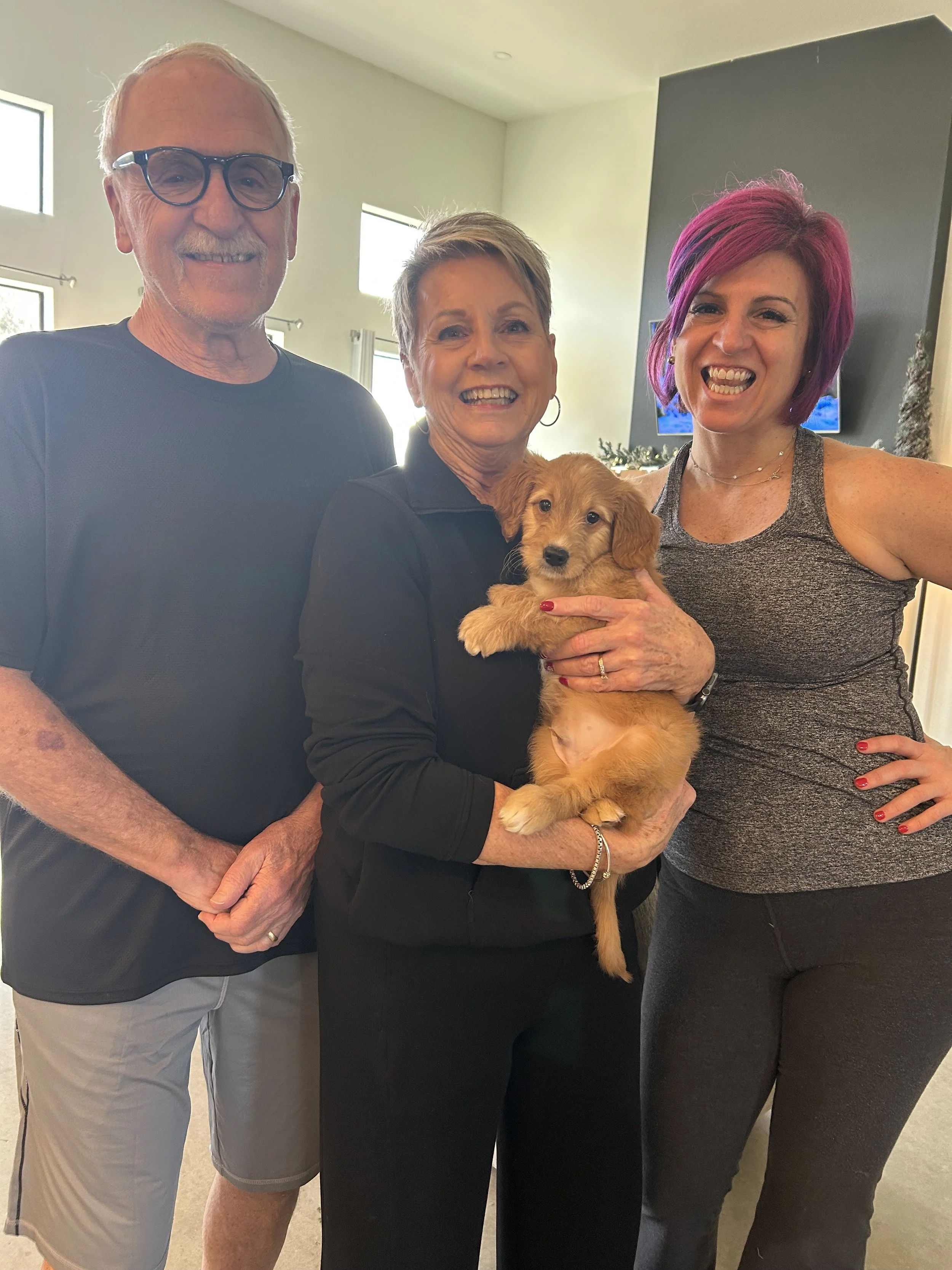 minigoldendoodlepuppyF1