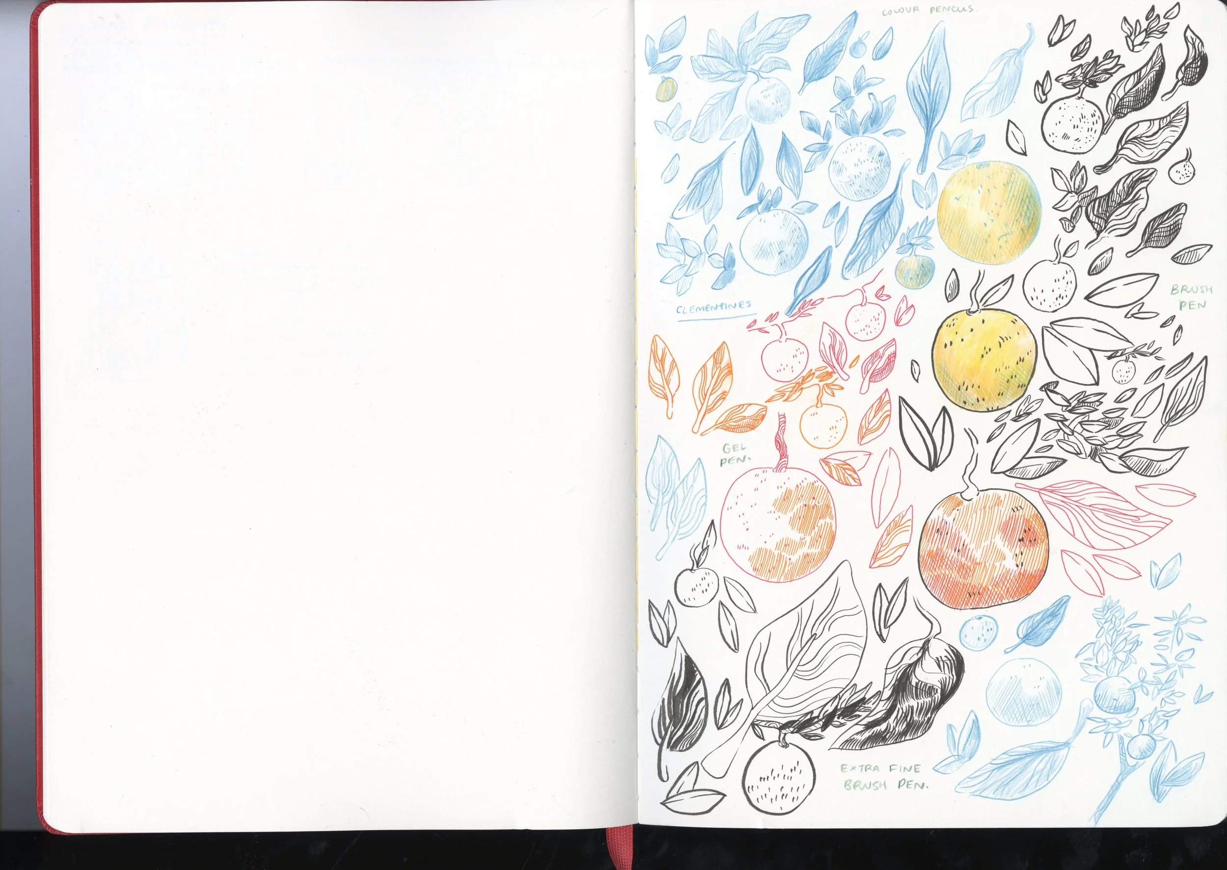 clementine spread.jpg