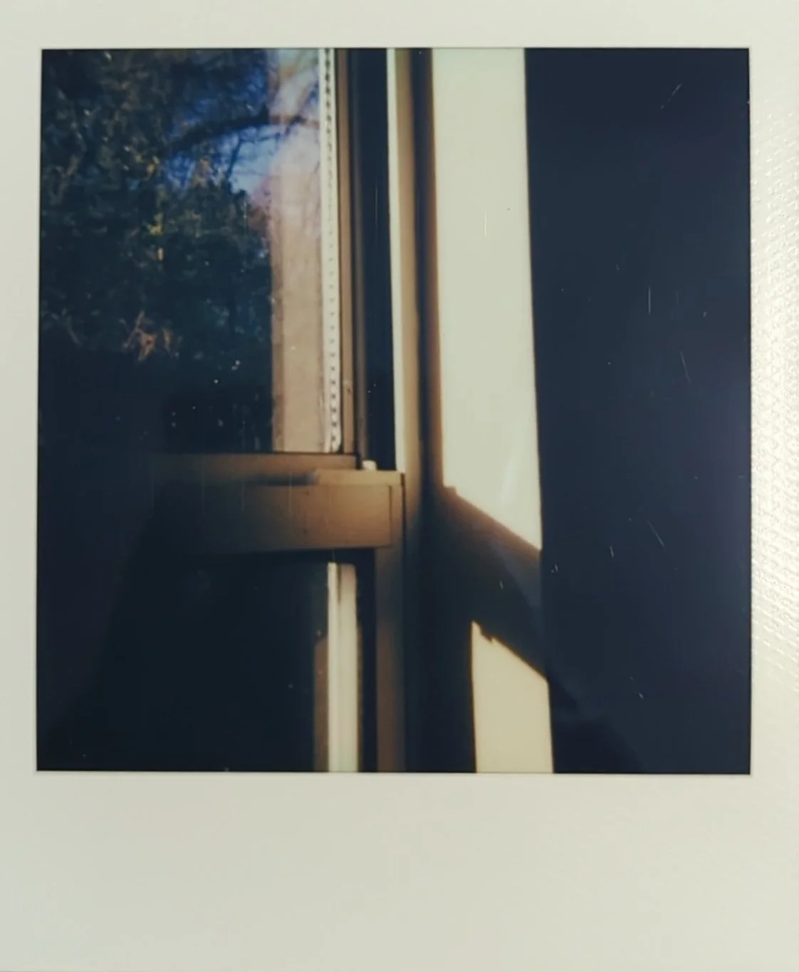 window and shadow polaroid.jpg