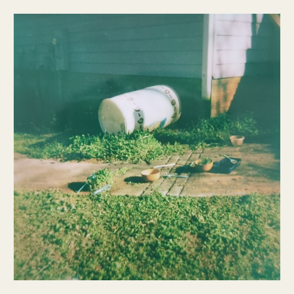dirt pancakes and grass salad