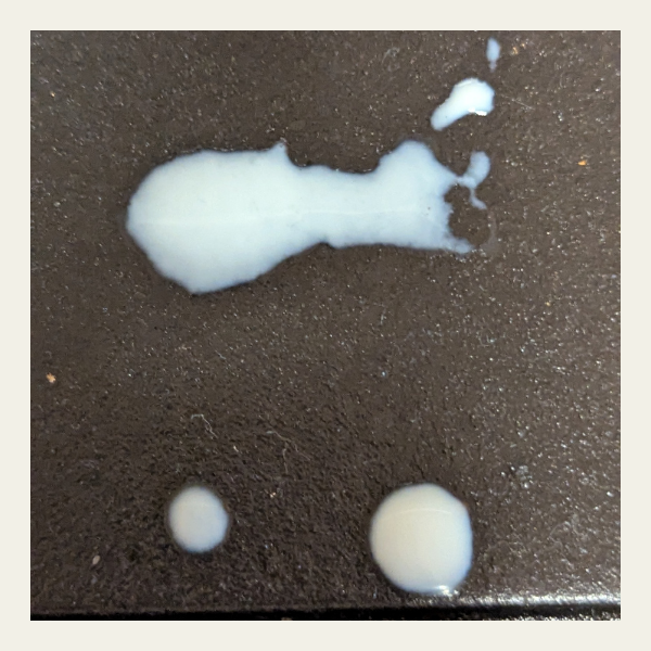 the fourth week of march