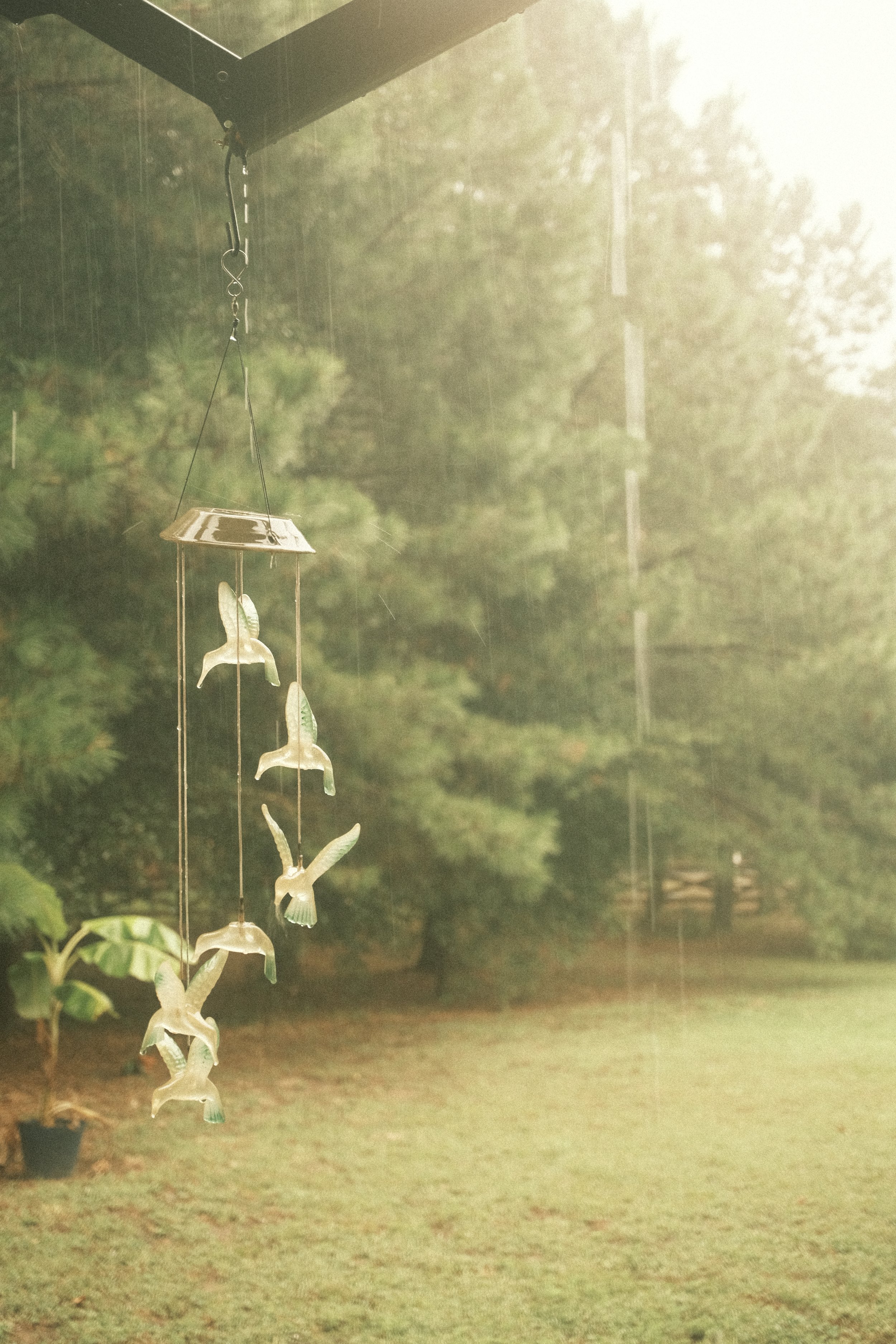a rainy day in august