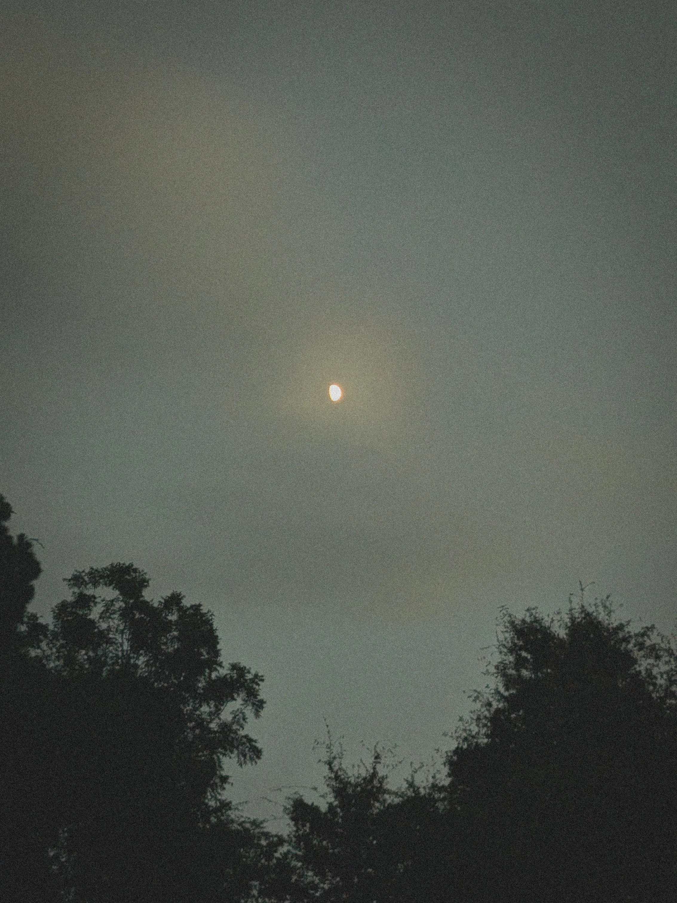 Skies
