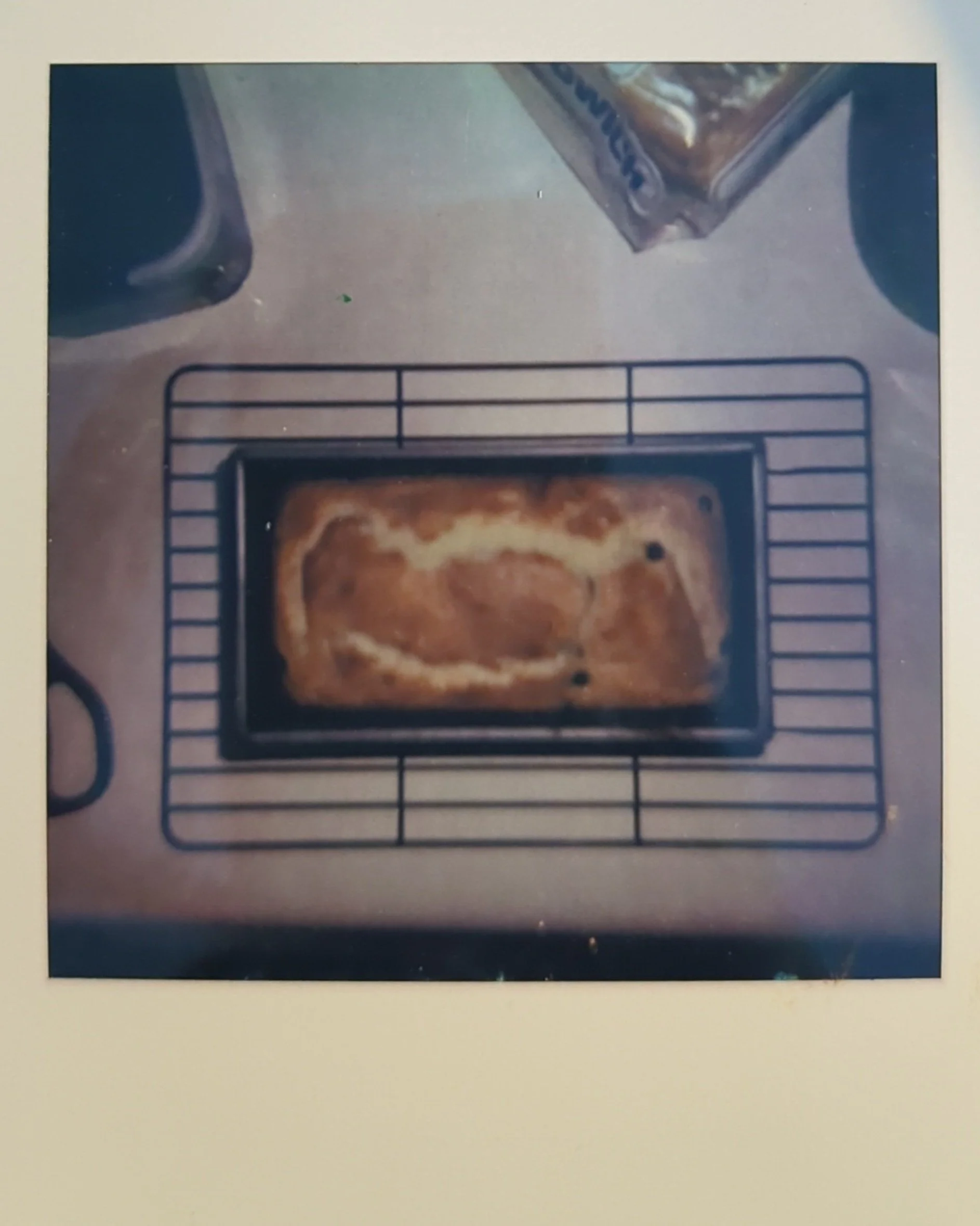 blueberry muffin bread polaroid.jpg