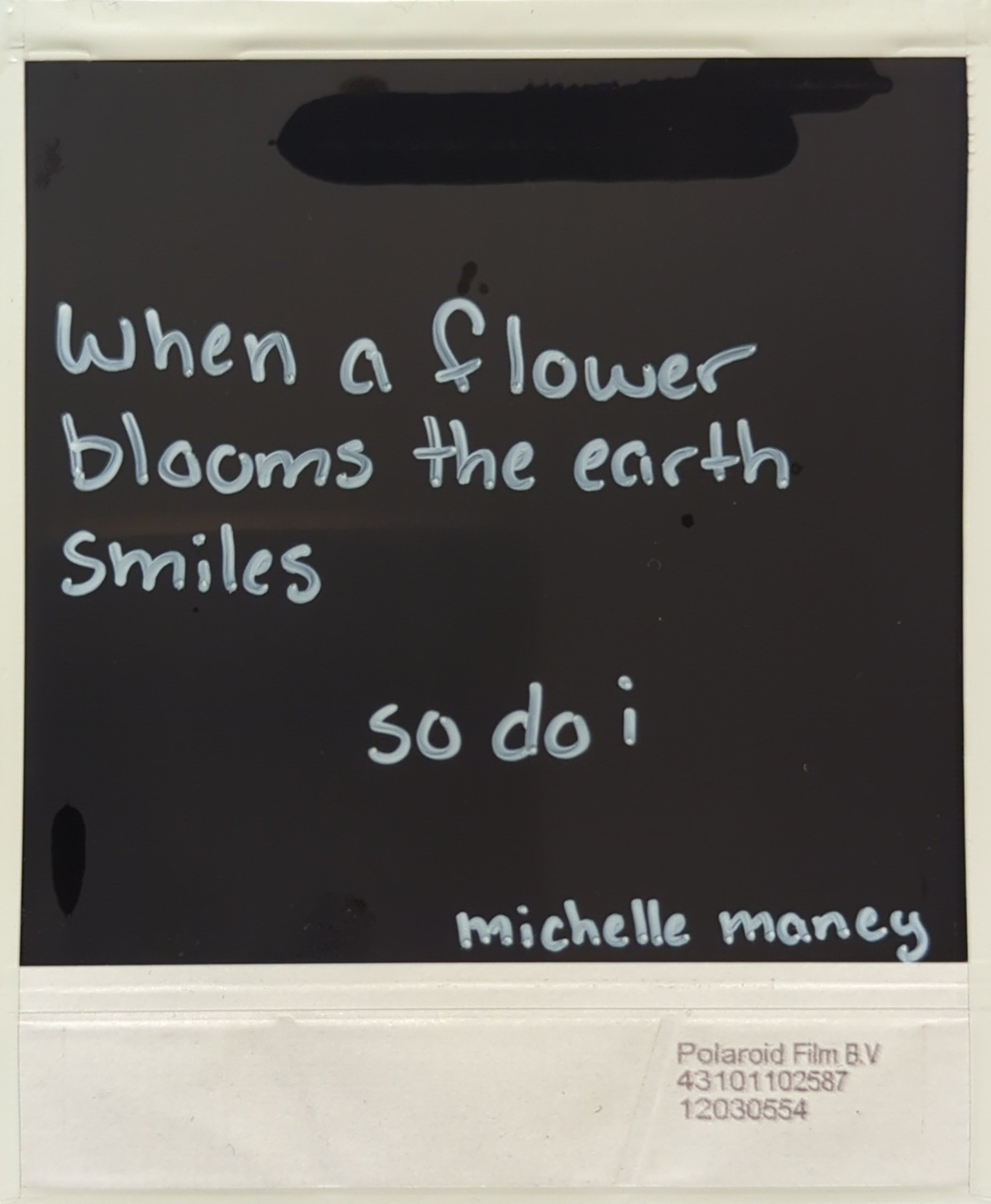 when a flower blooms back.jpg