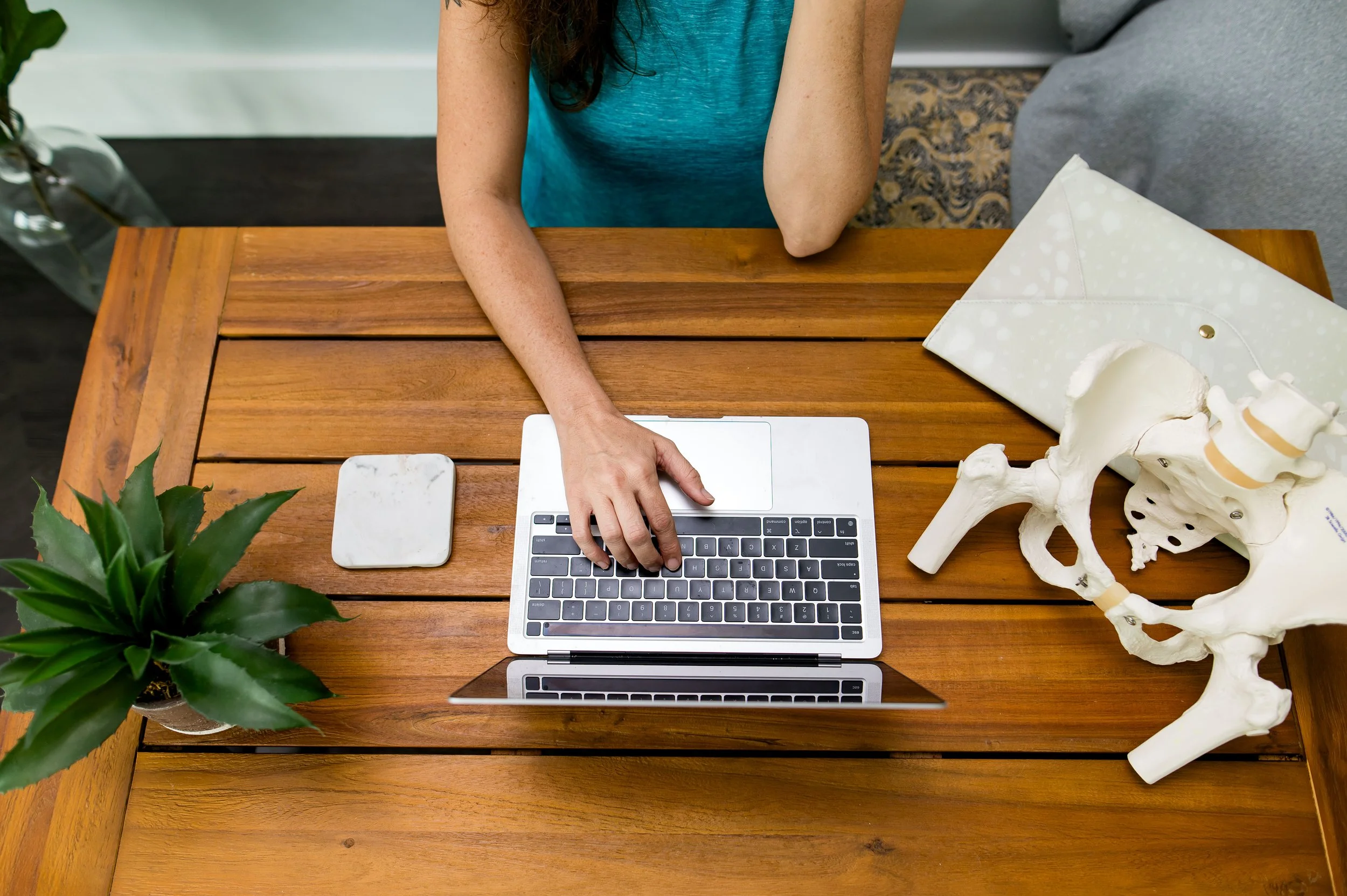 Top-down view of a wooden desk with a person using a laptop, a potted plant on the left, a marble coaster, and an anatomical pelvis model on the right.