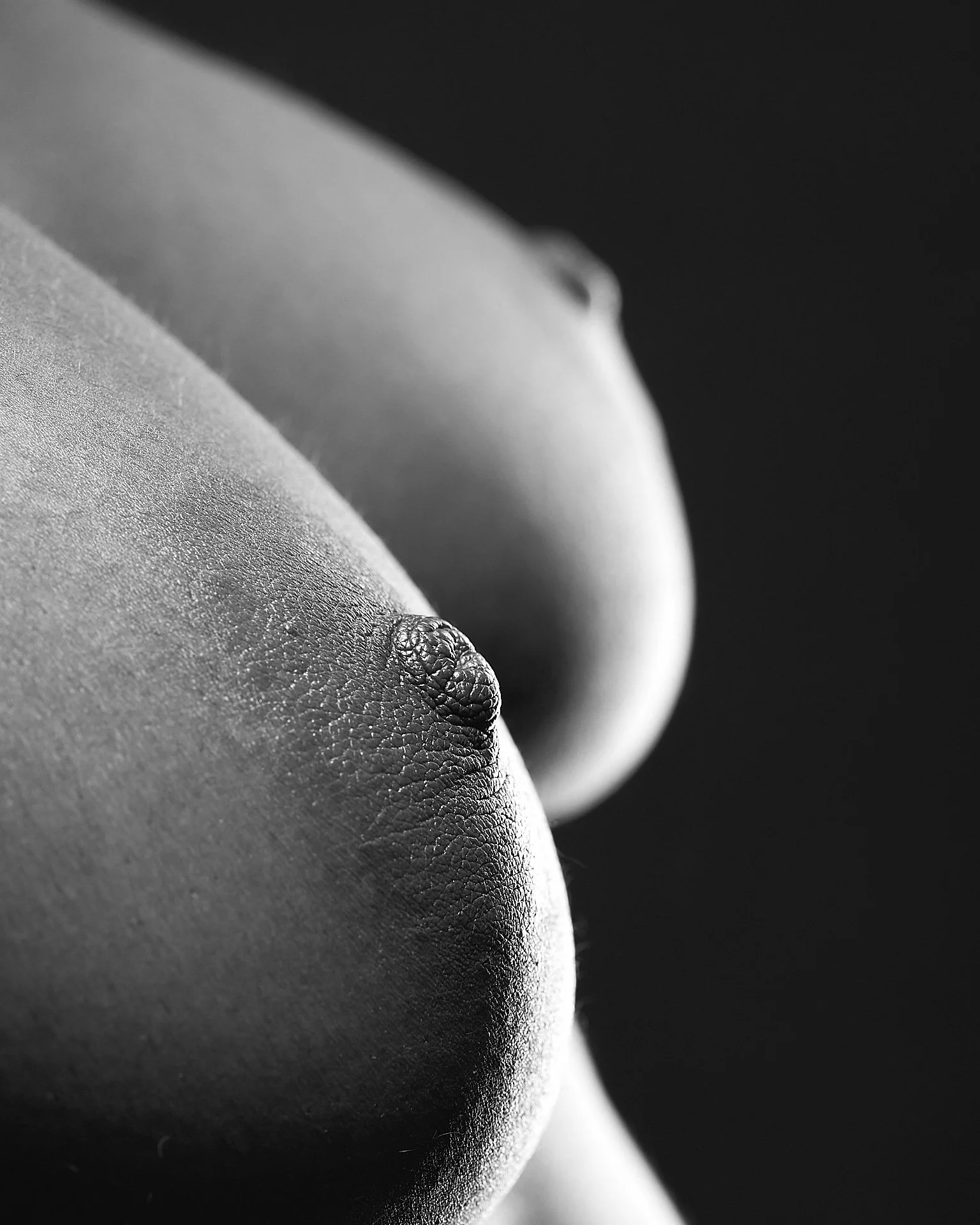 Artistieke naaktfotografie