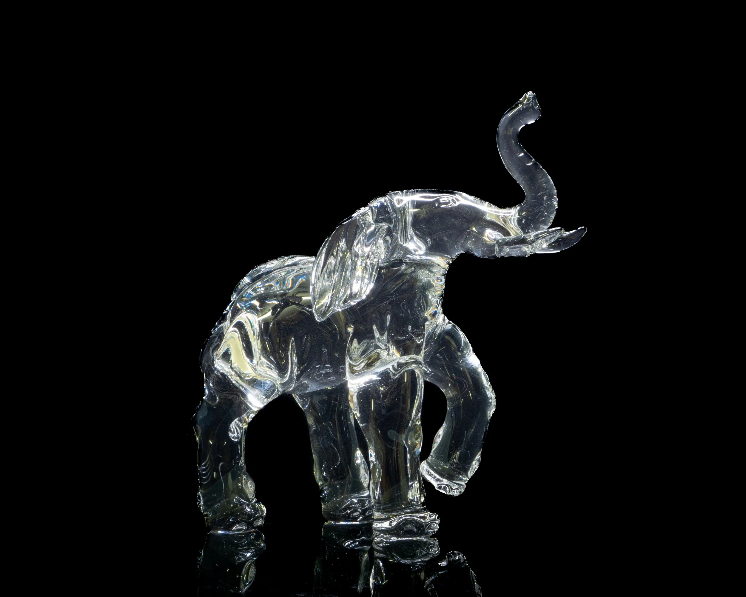 Elephant - Deana Lawson