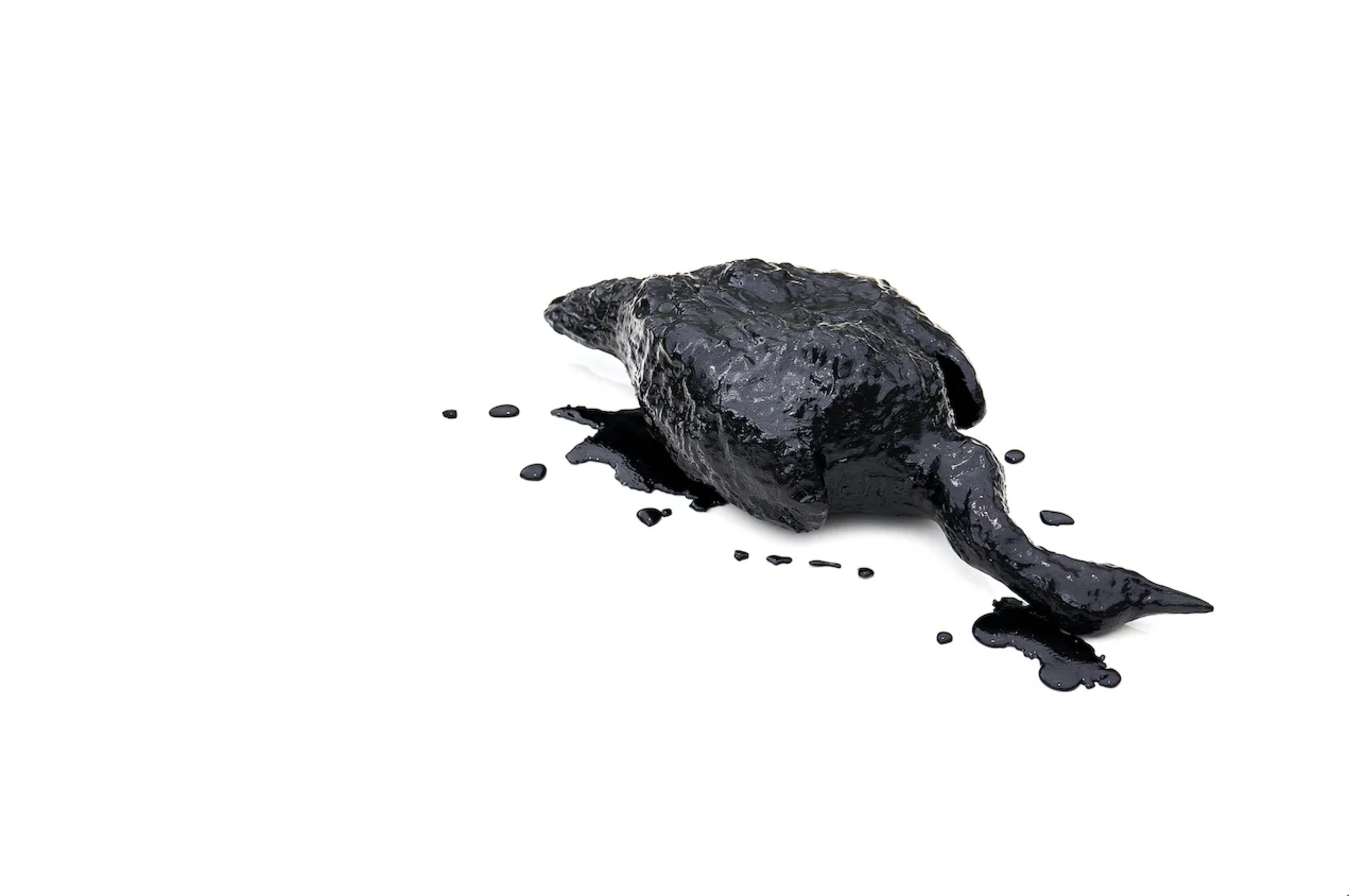 Screenshot 2024-09-04 at 10.10.29 PM.png