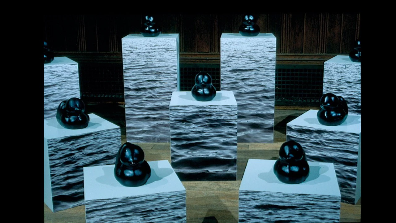 Black ducks install.jpg