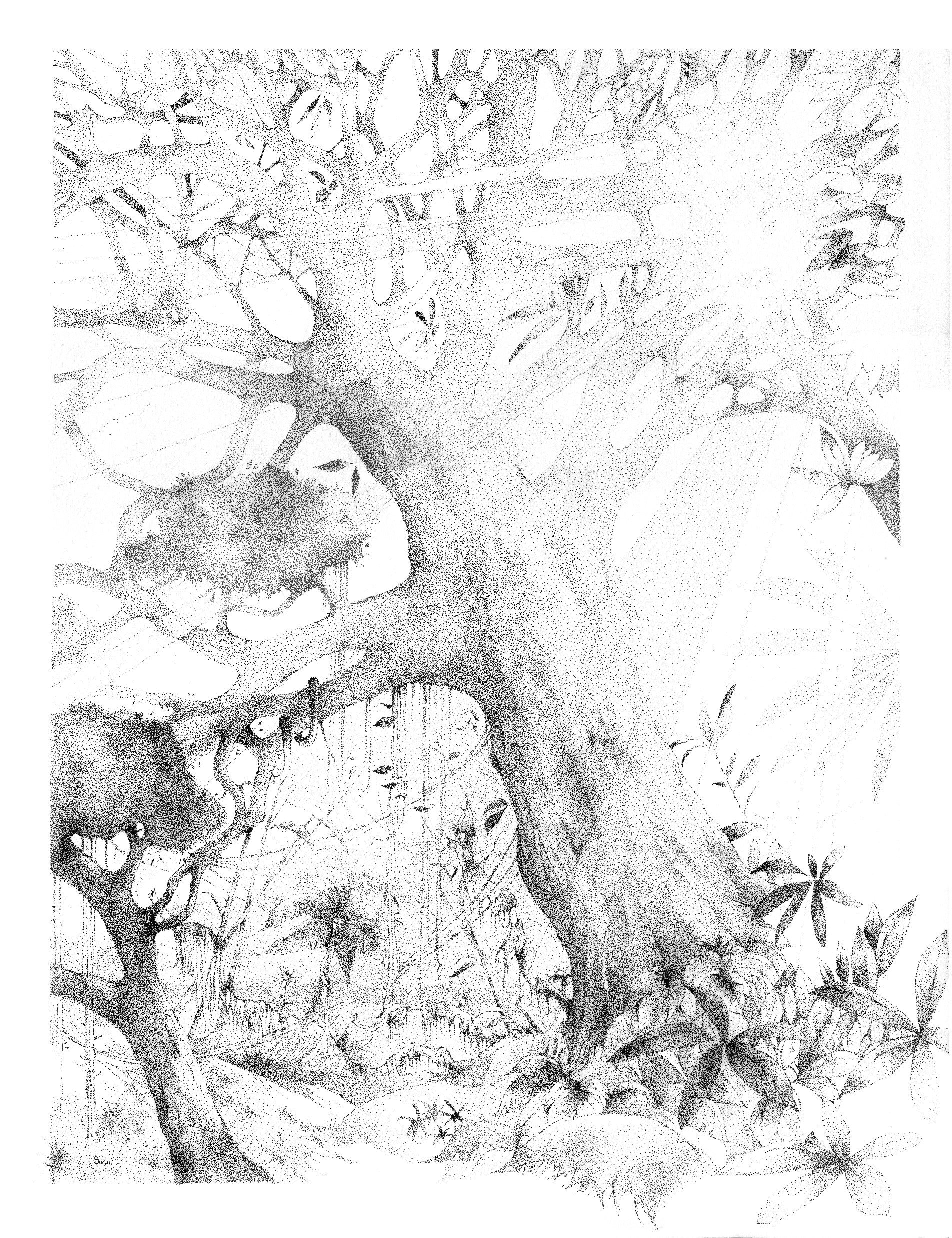 Komorebi, 60X80, 2023