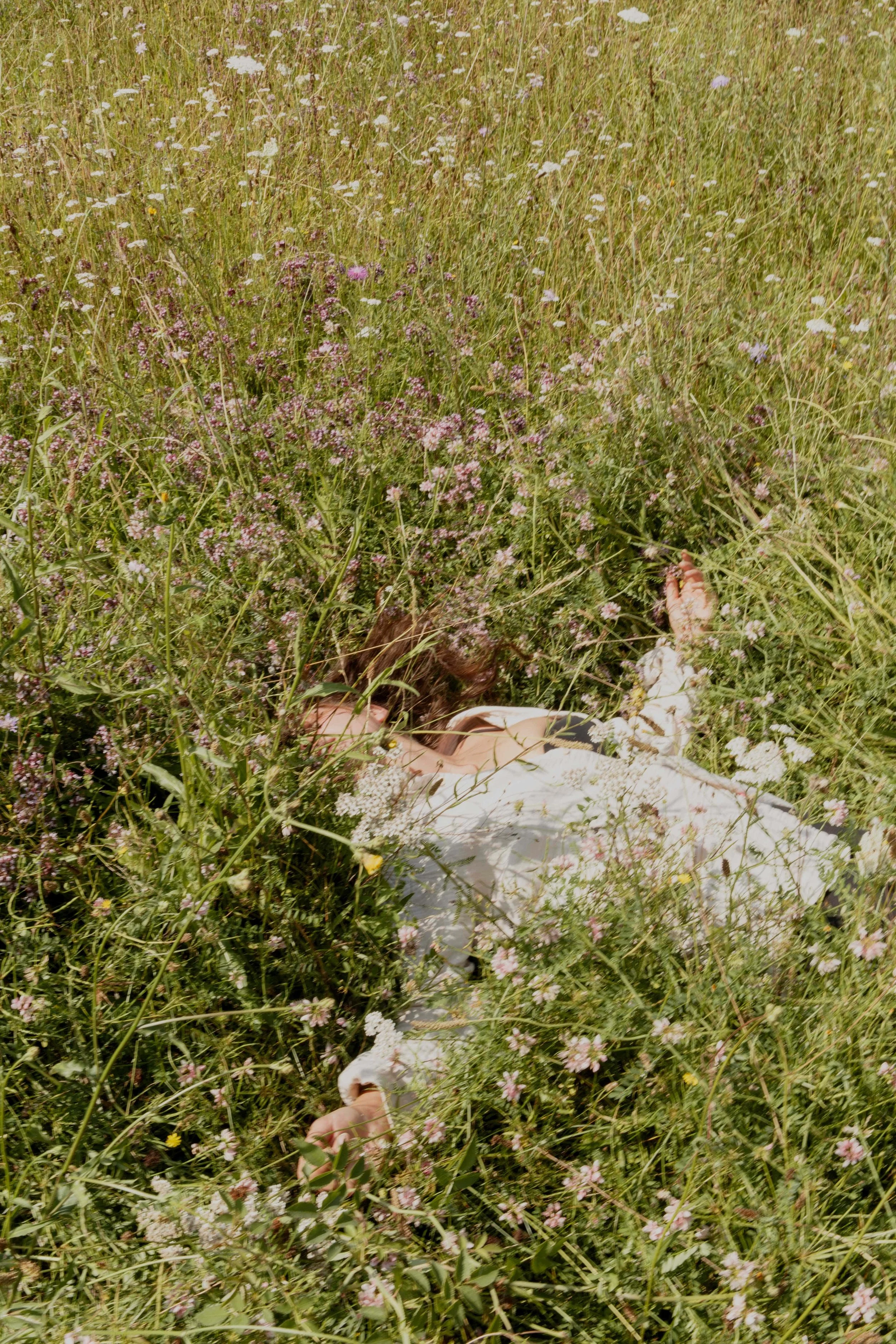 lena field 8-smaller.jpg